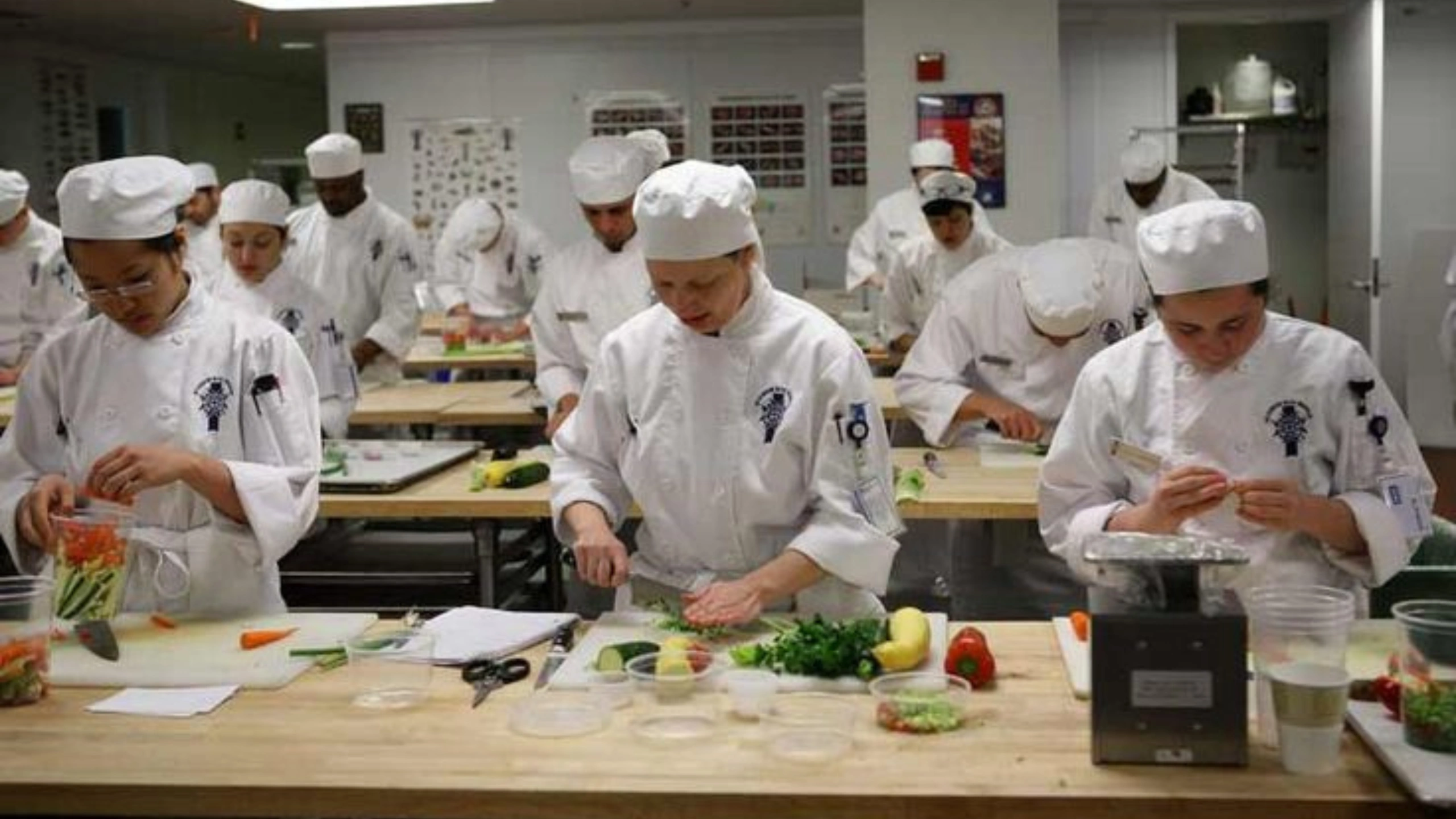 how much do cruise ship workers make 