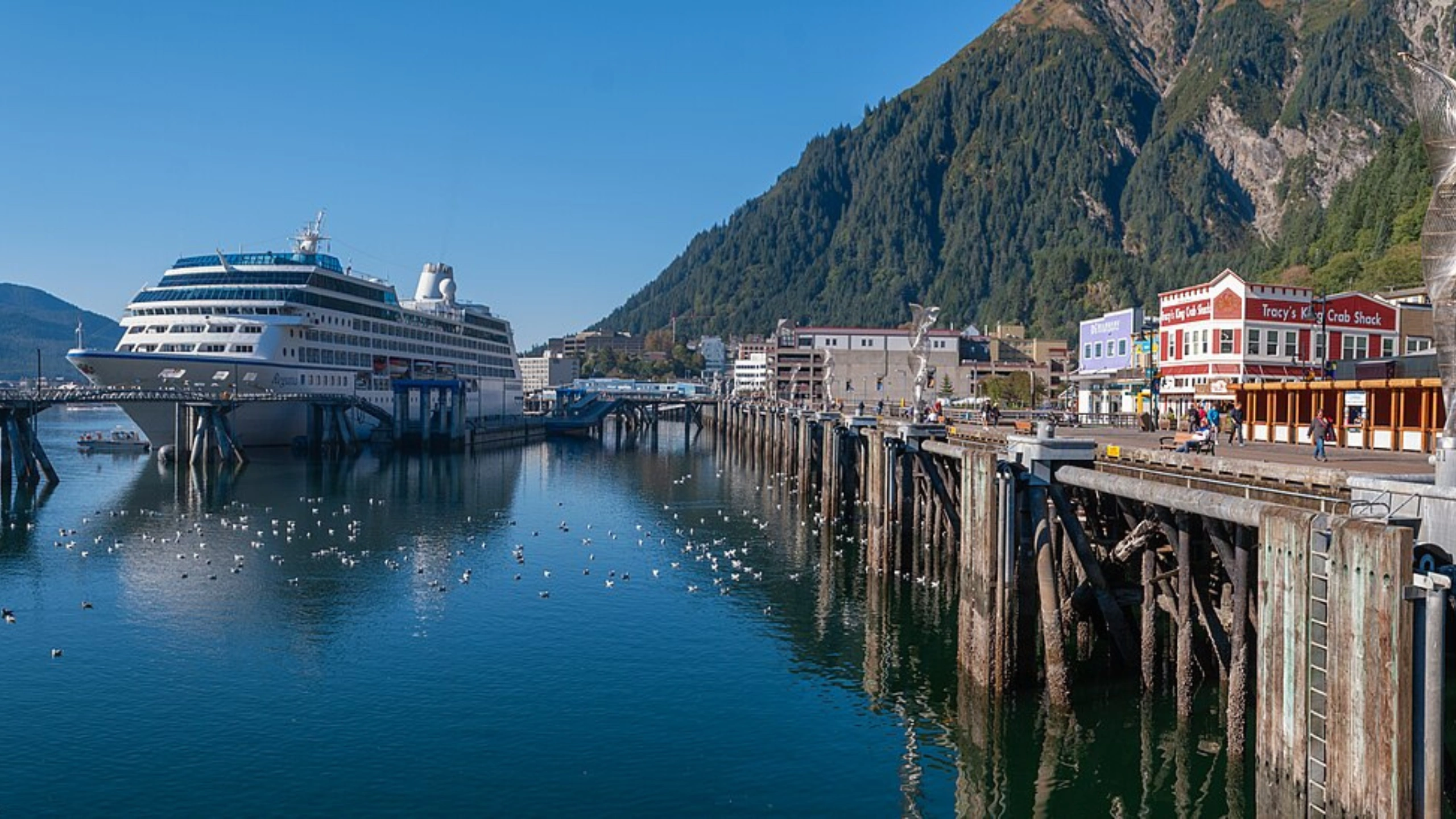 Best Things to Do in Juneau Alaska Cruise Port