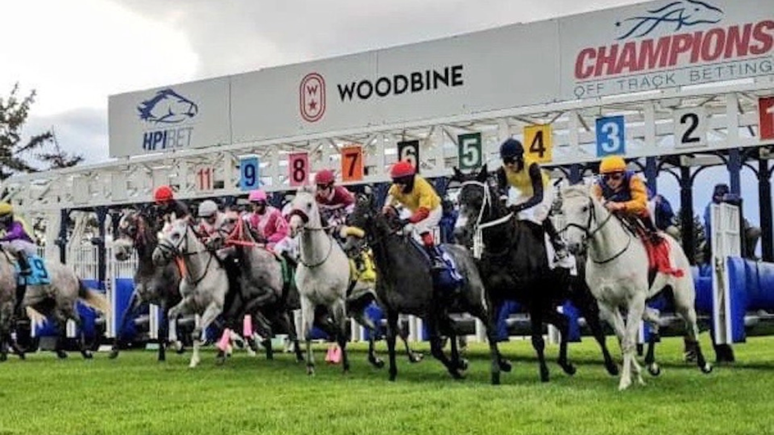 Zecommentaires en Direct