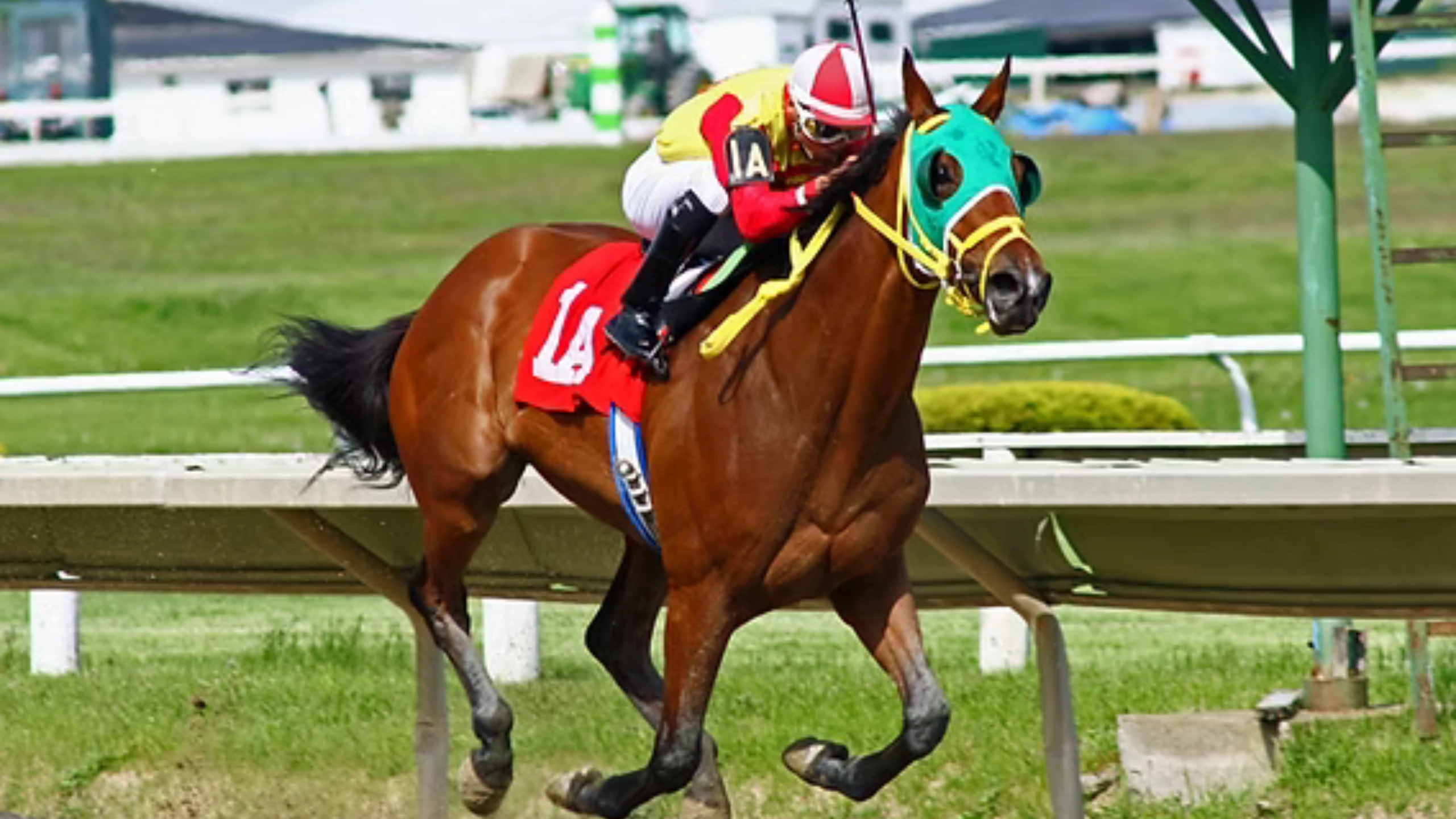 Zecommentaires en Direct