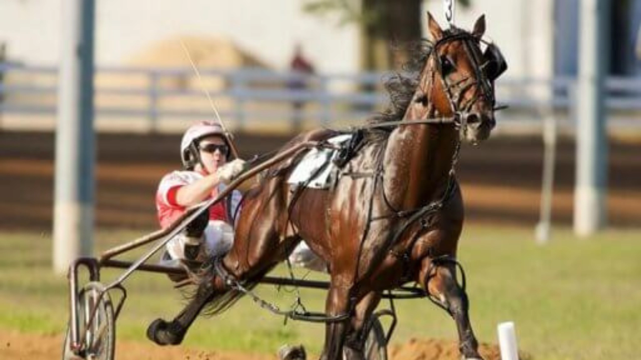 Zecommentaires en Direct