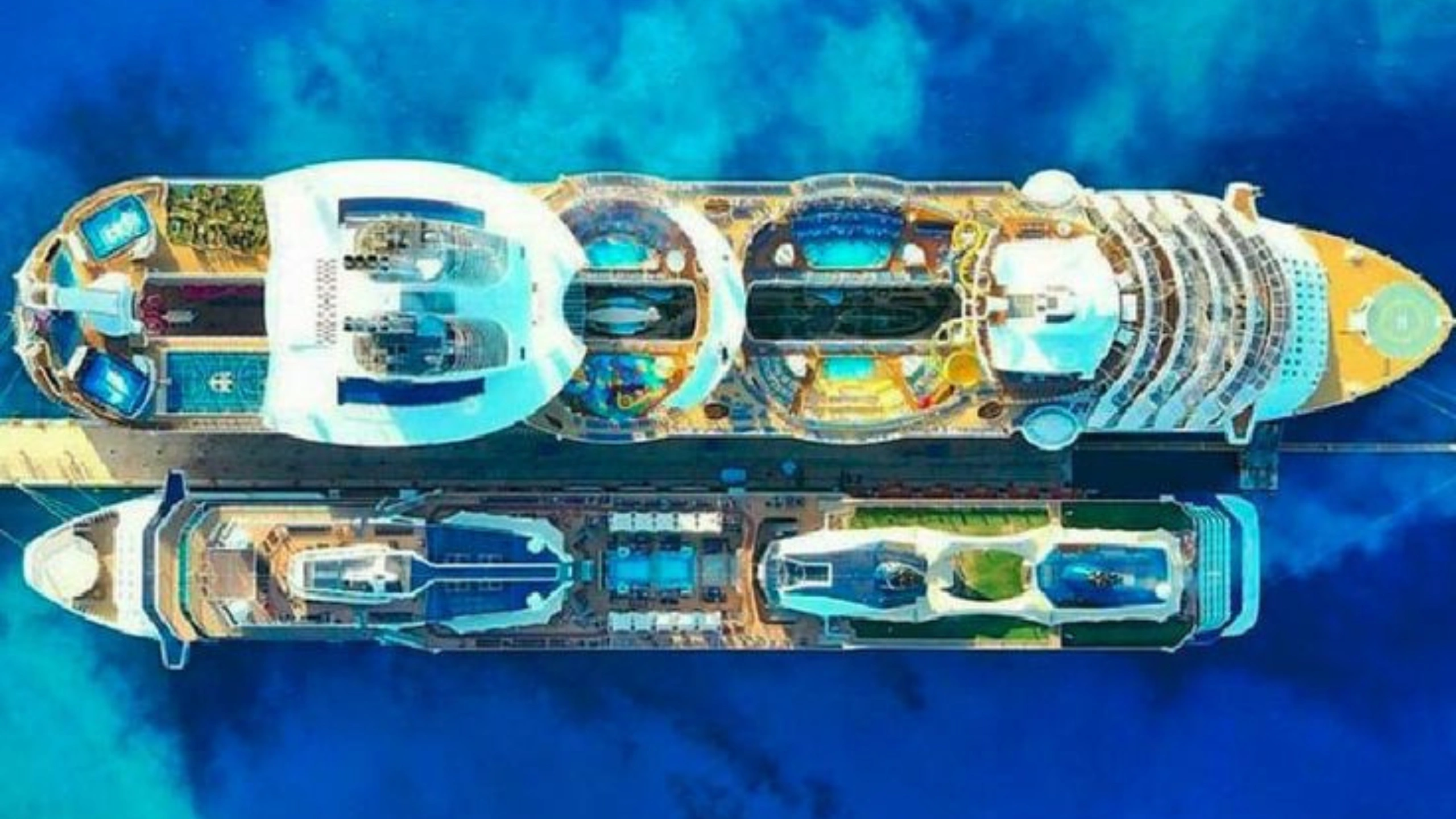 Largest Cruise Ships