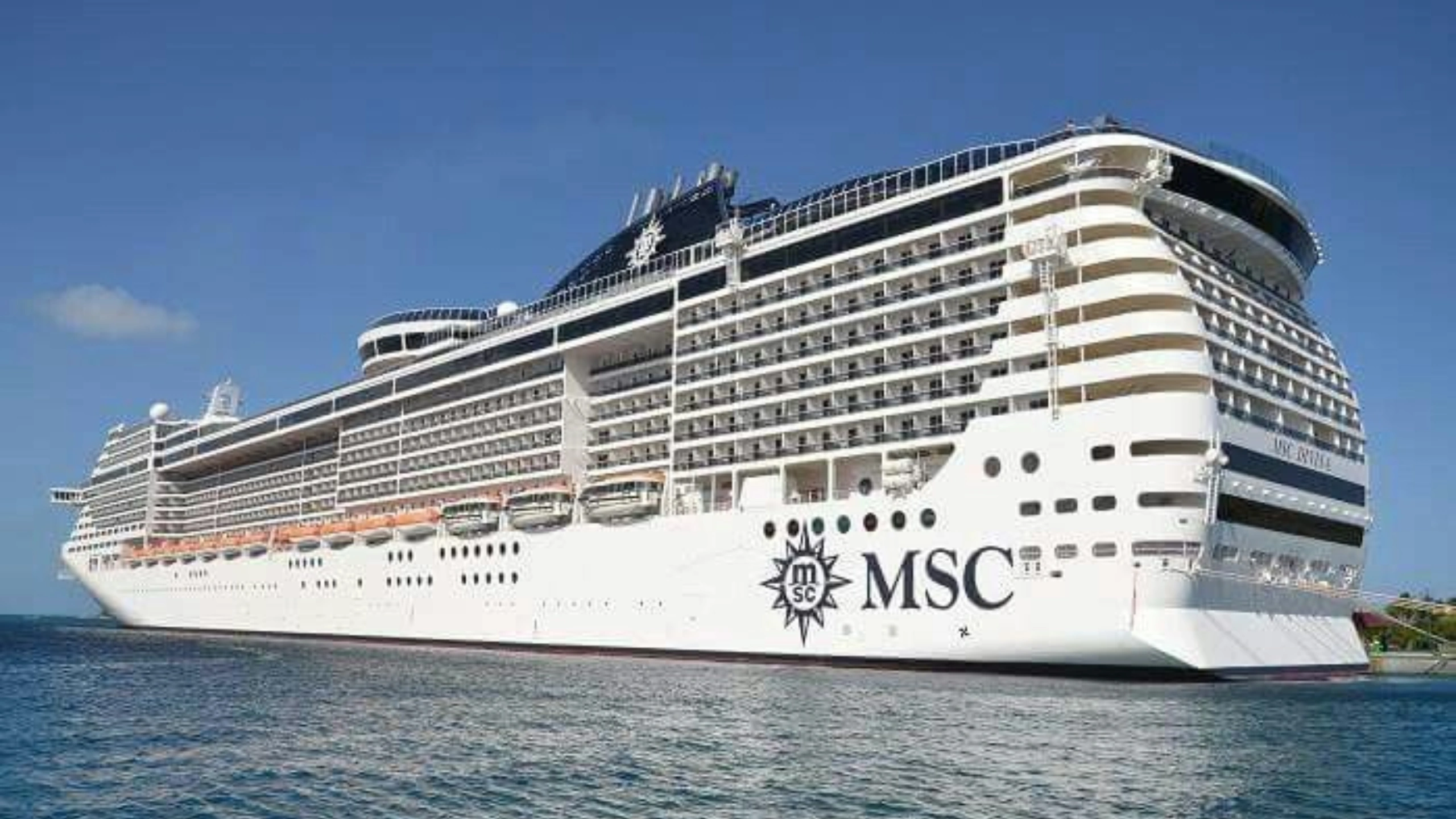 Largest Cruise Ships