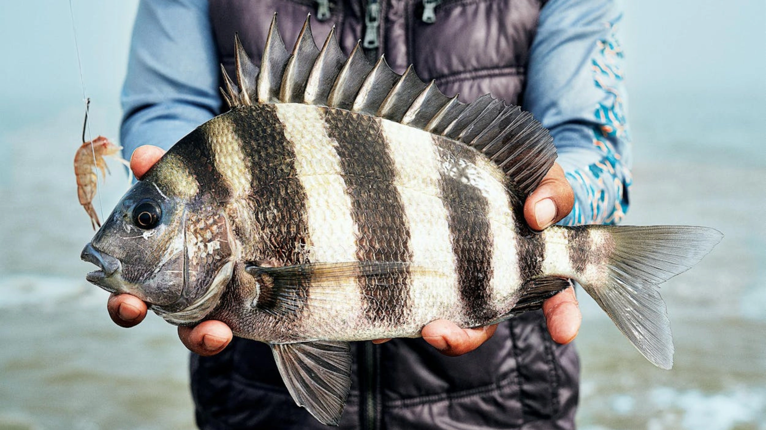 Fishing Thunderonthegulf