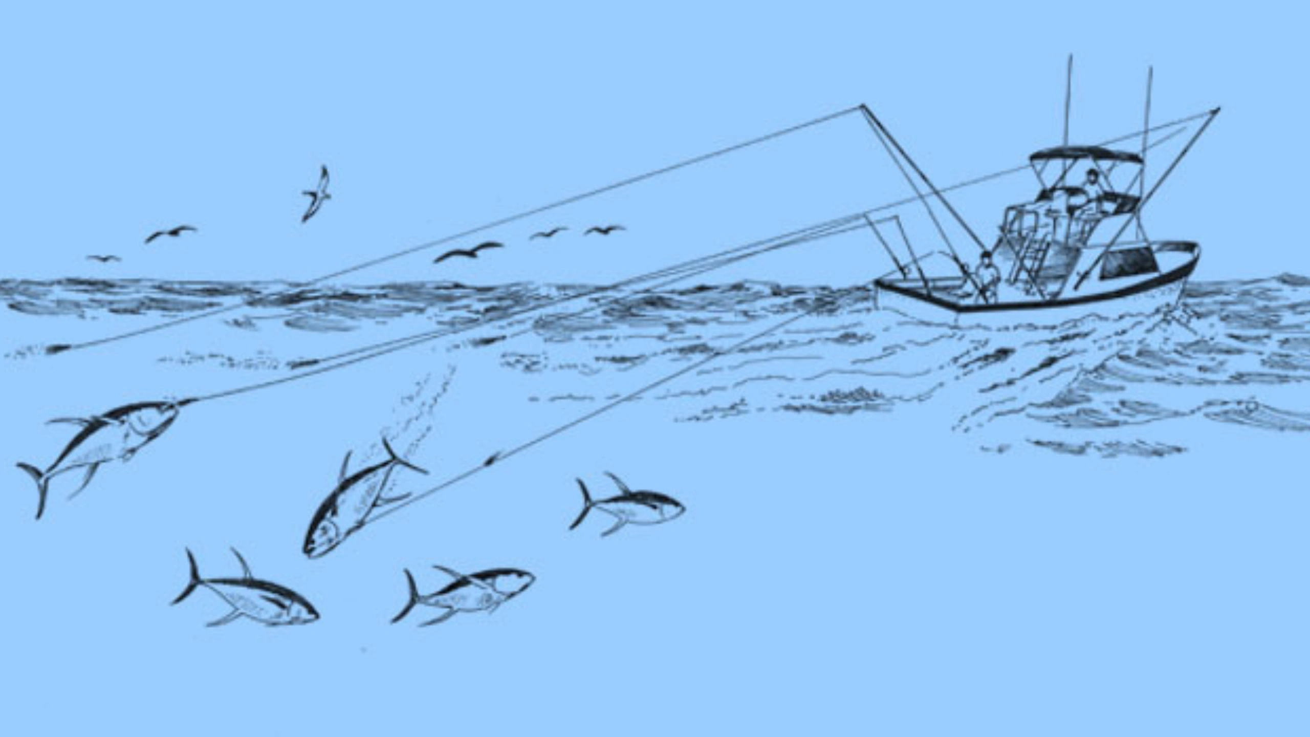 Fishing Thunderonthegulf