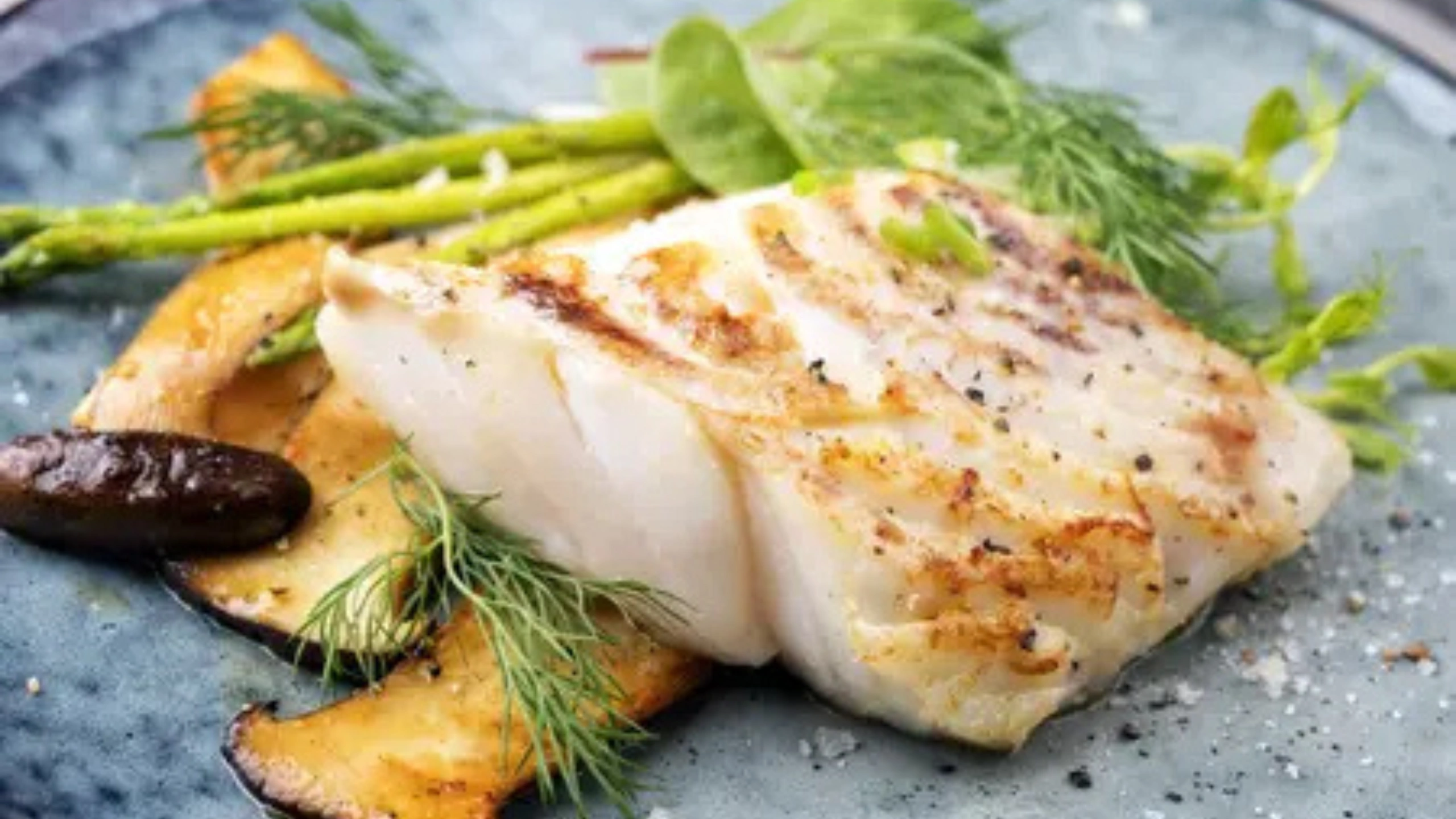 Fishing Thunderonthegulf