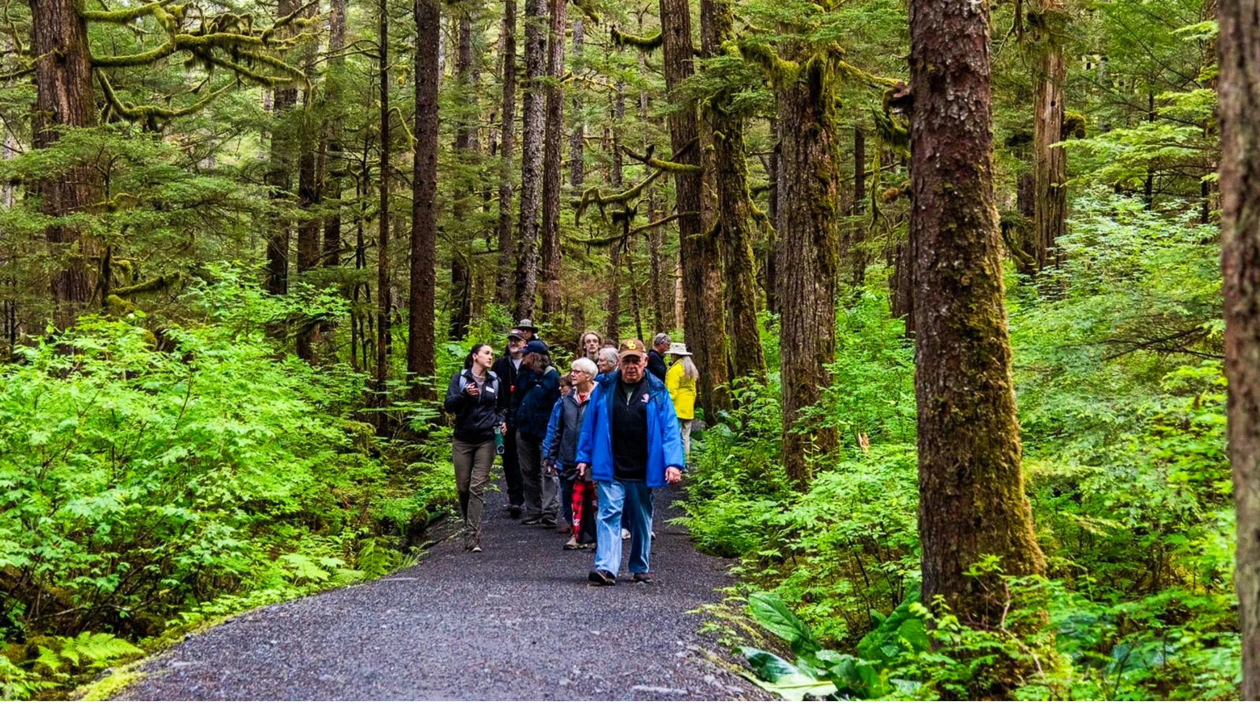 Best Things to Do in Juneau Alaska Cruise Port