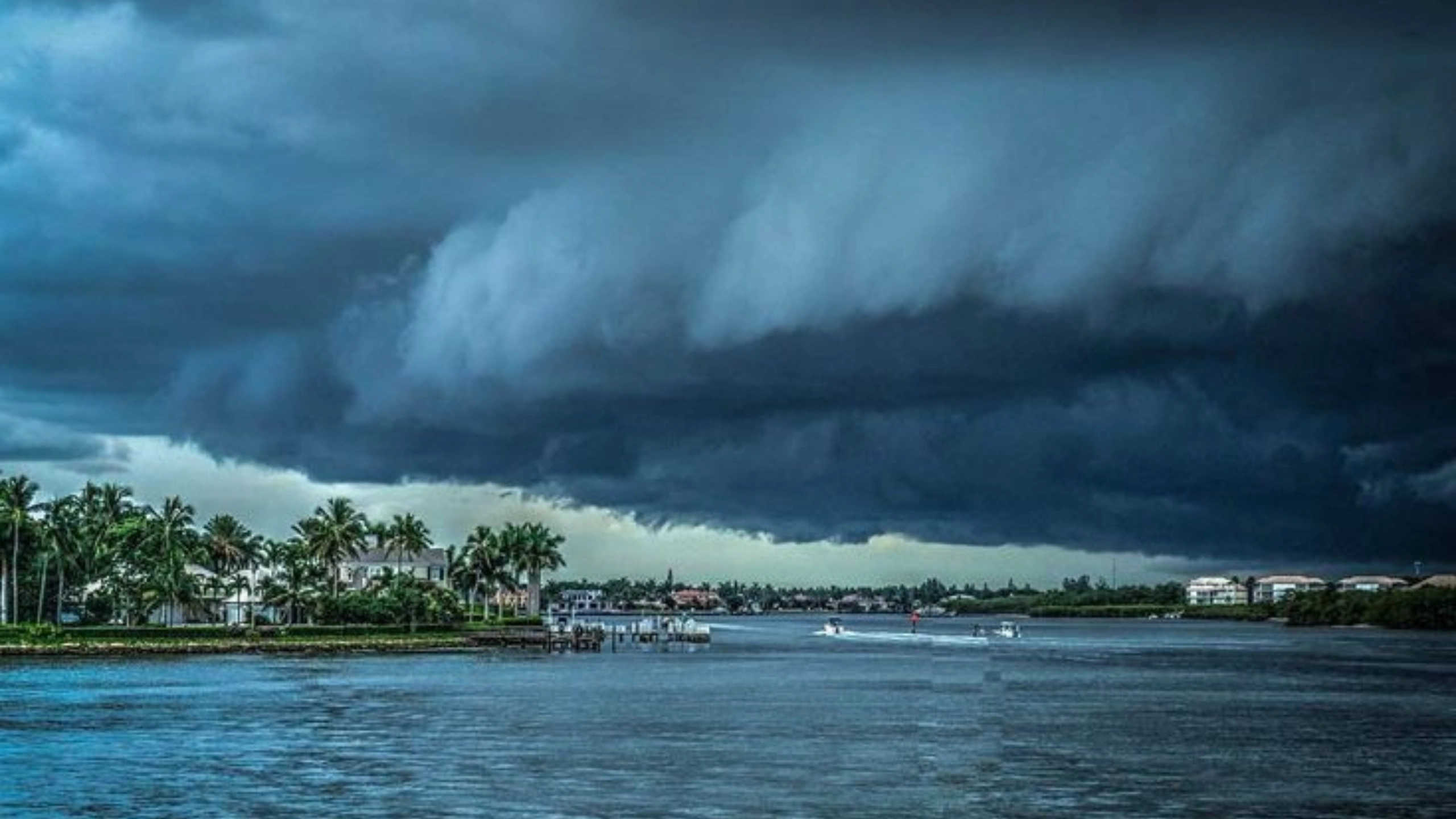 Best Time to Cruise Cozumel