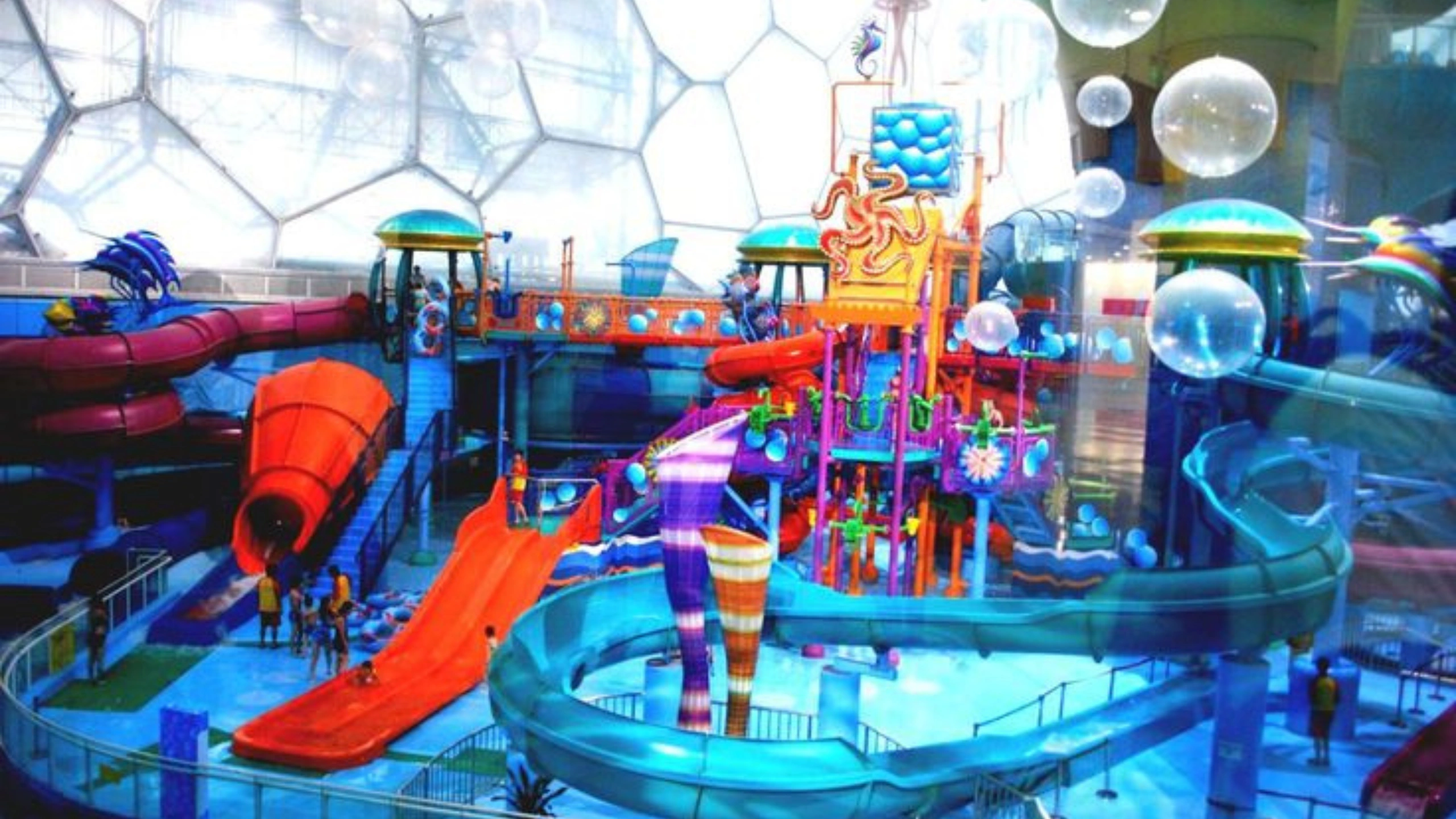 Carnival Paradise Cruise Ship