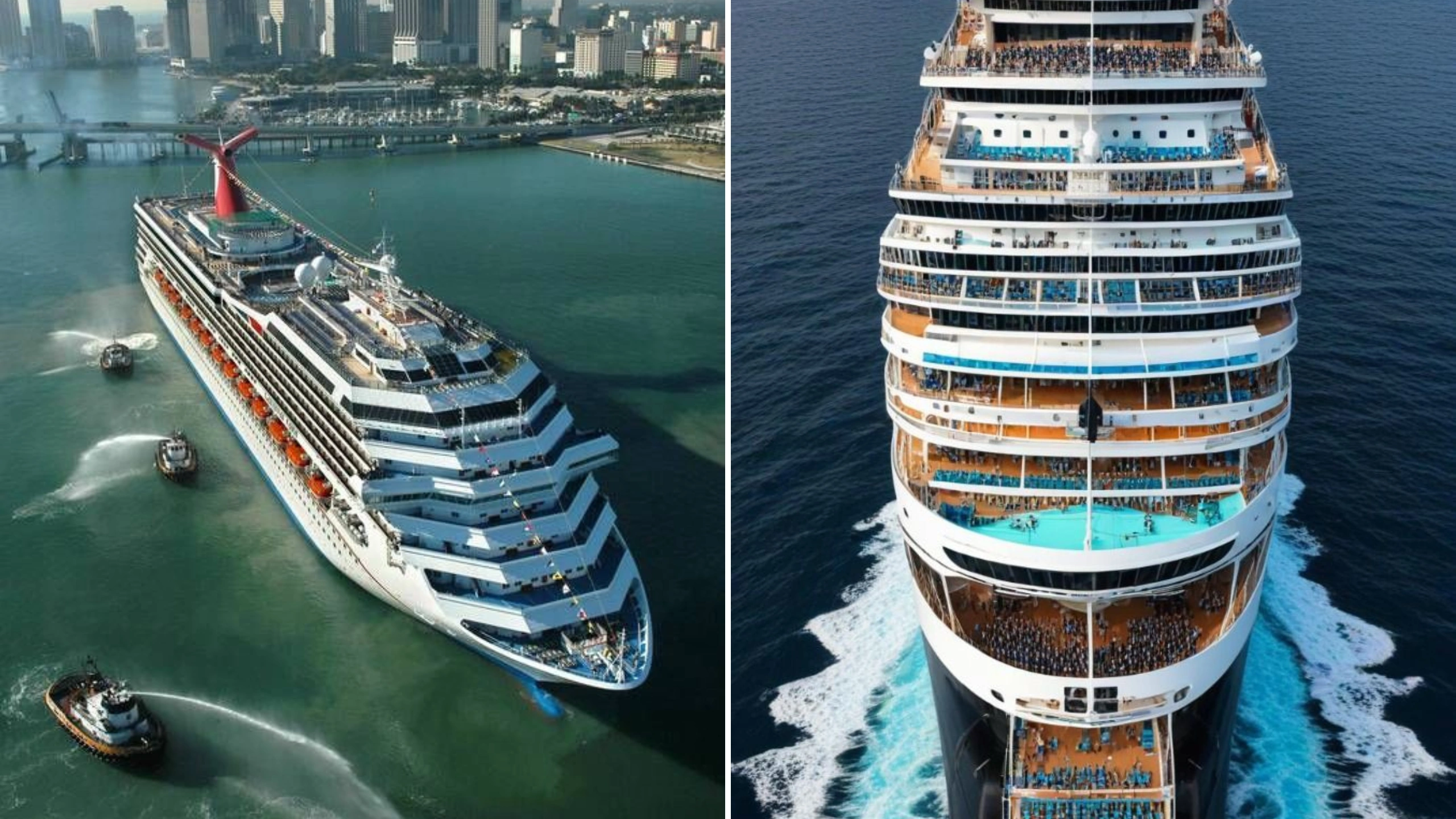 Carnival vs Msc Cruises 