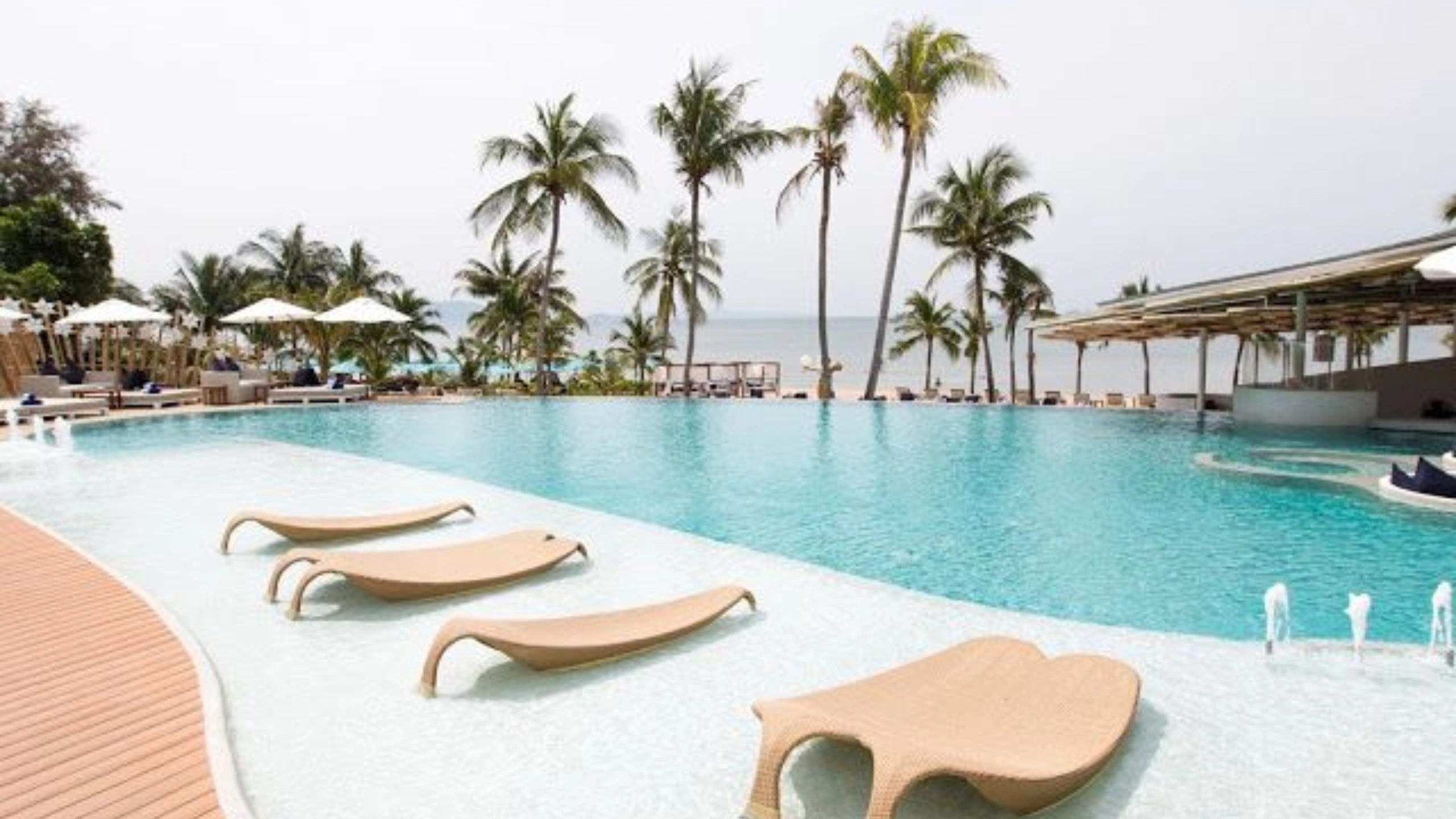 Carnival vs msc cruises 