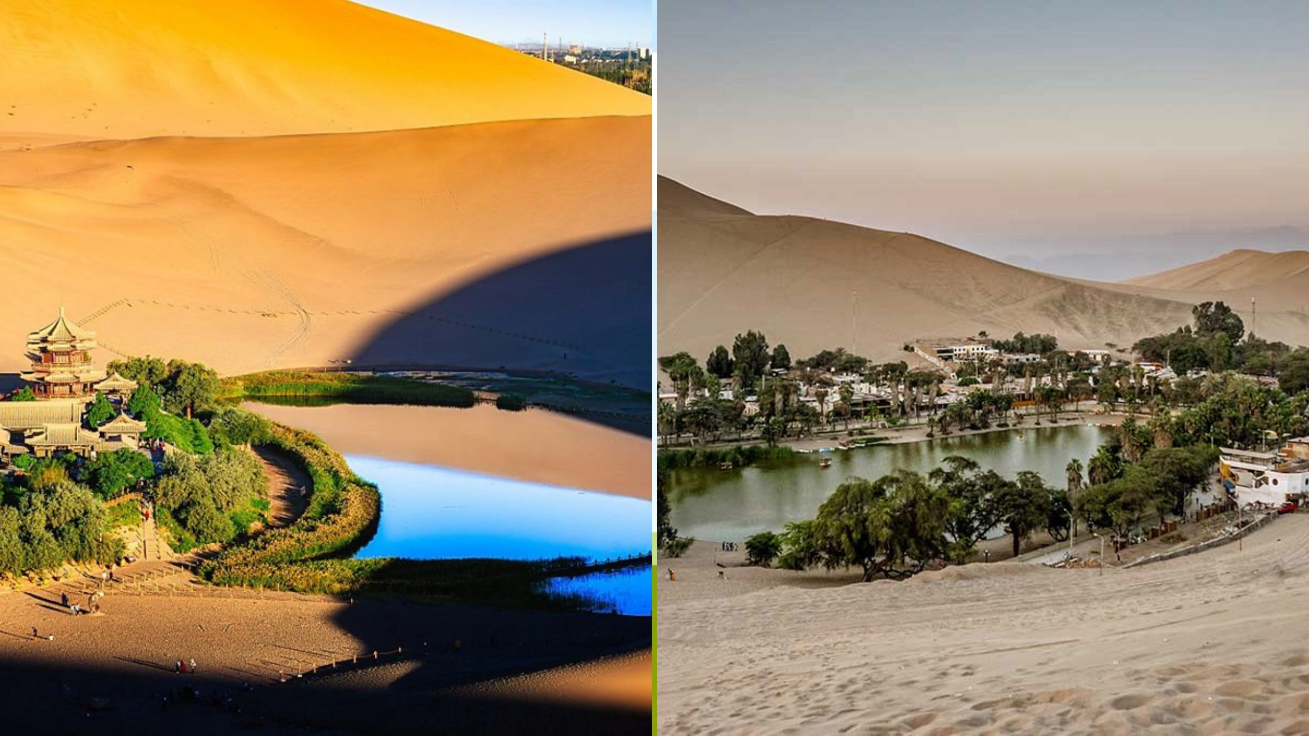 Icon Class vs Oasis Class