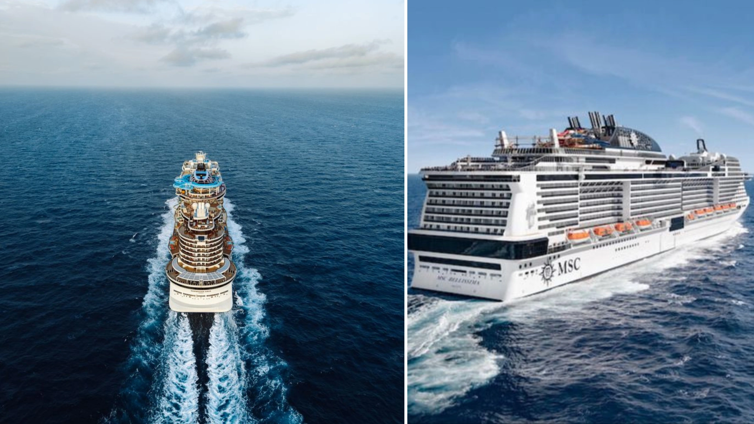 Royal Caribbean vs MSC cruises
