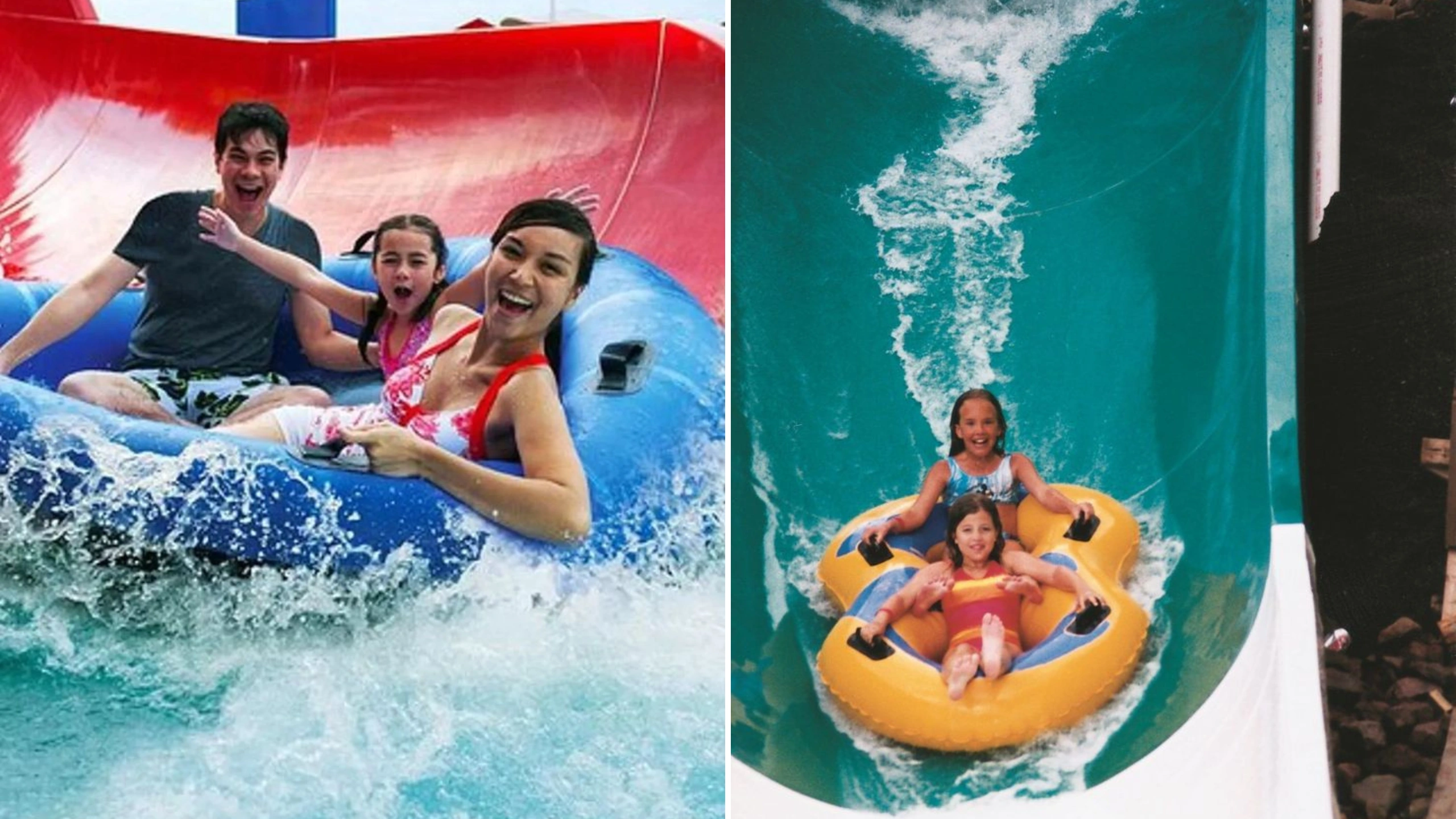 Royal Caribbean vs MSC cruises