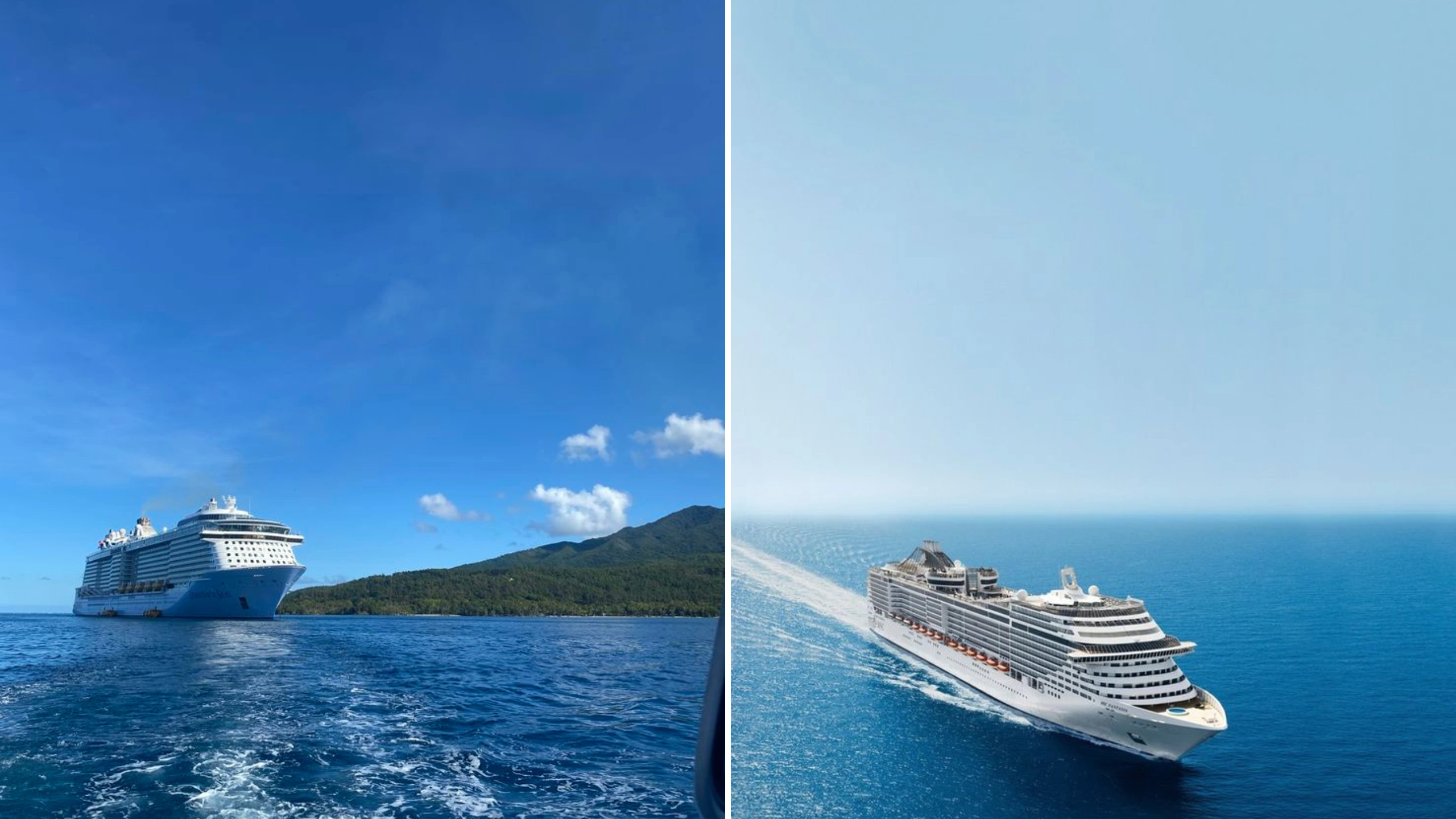 Royal Caribbean vs MSC cruises