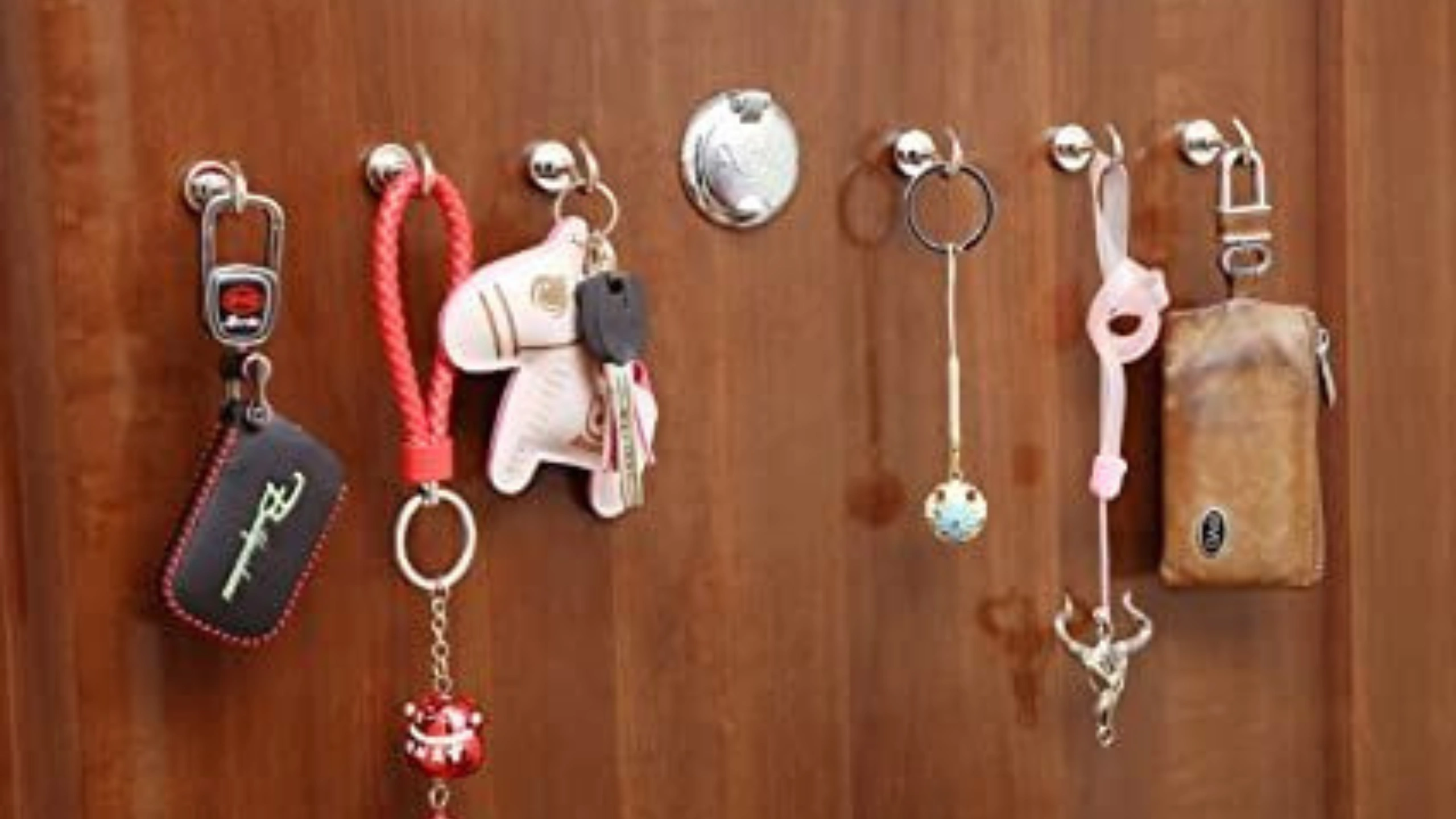 What Pack for a Cruise Essentials