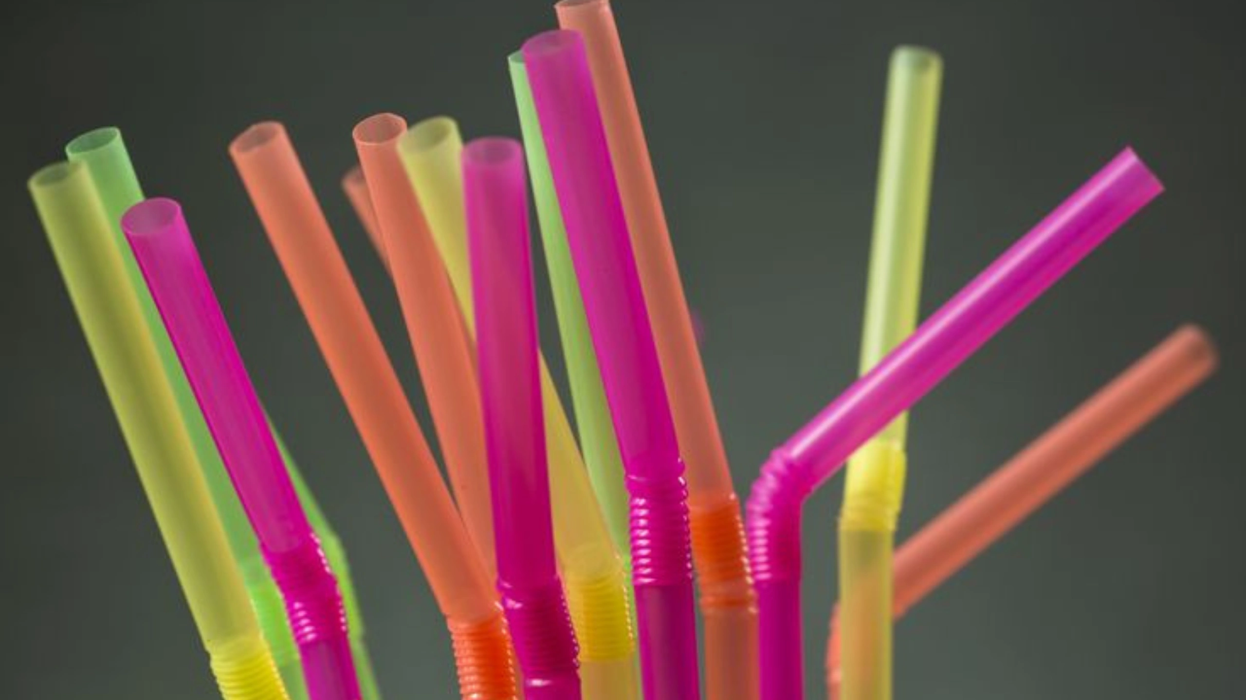 What Pack for a Cruise Essentials