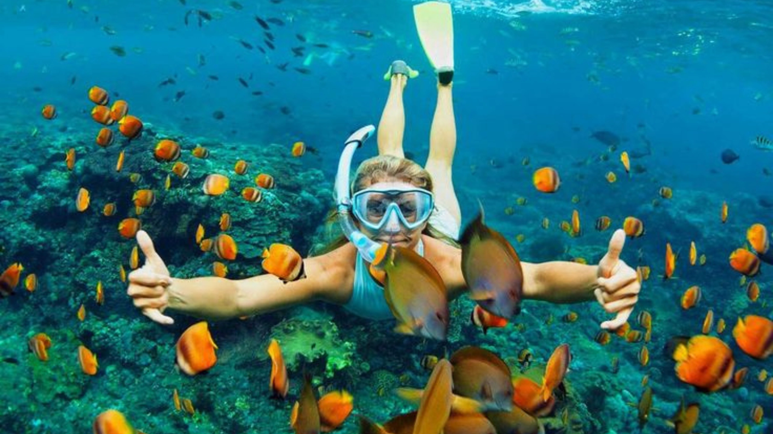 What to Pack for a Bermuda Cruise