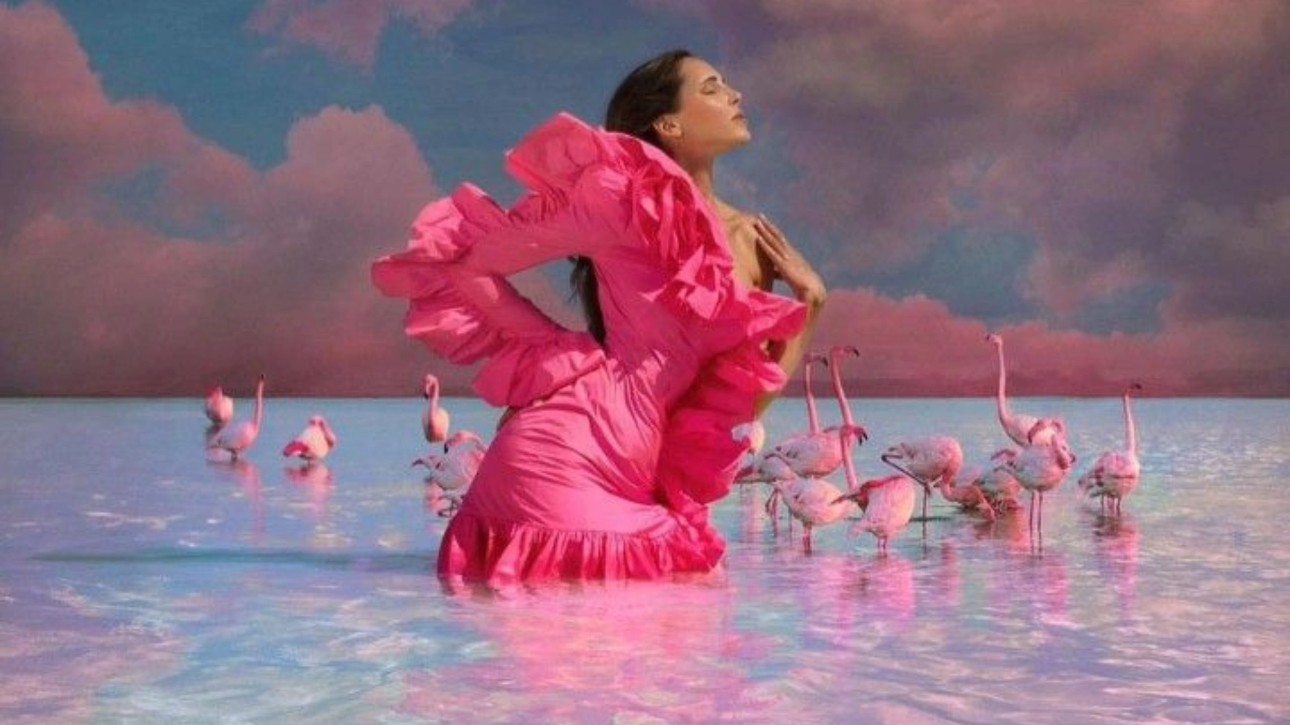 What Do Pink Flamingos On A Cruise Mean?