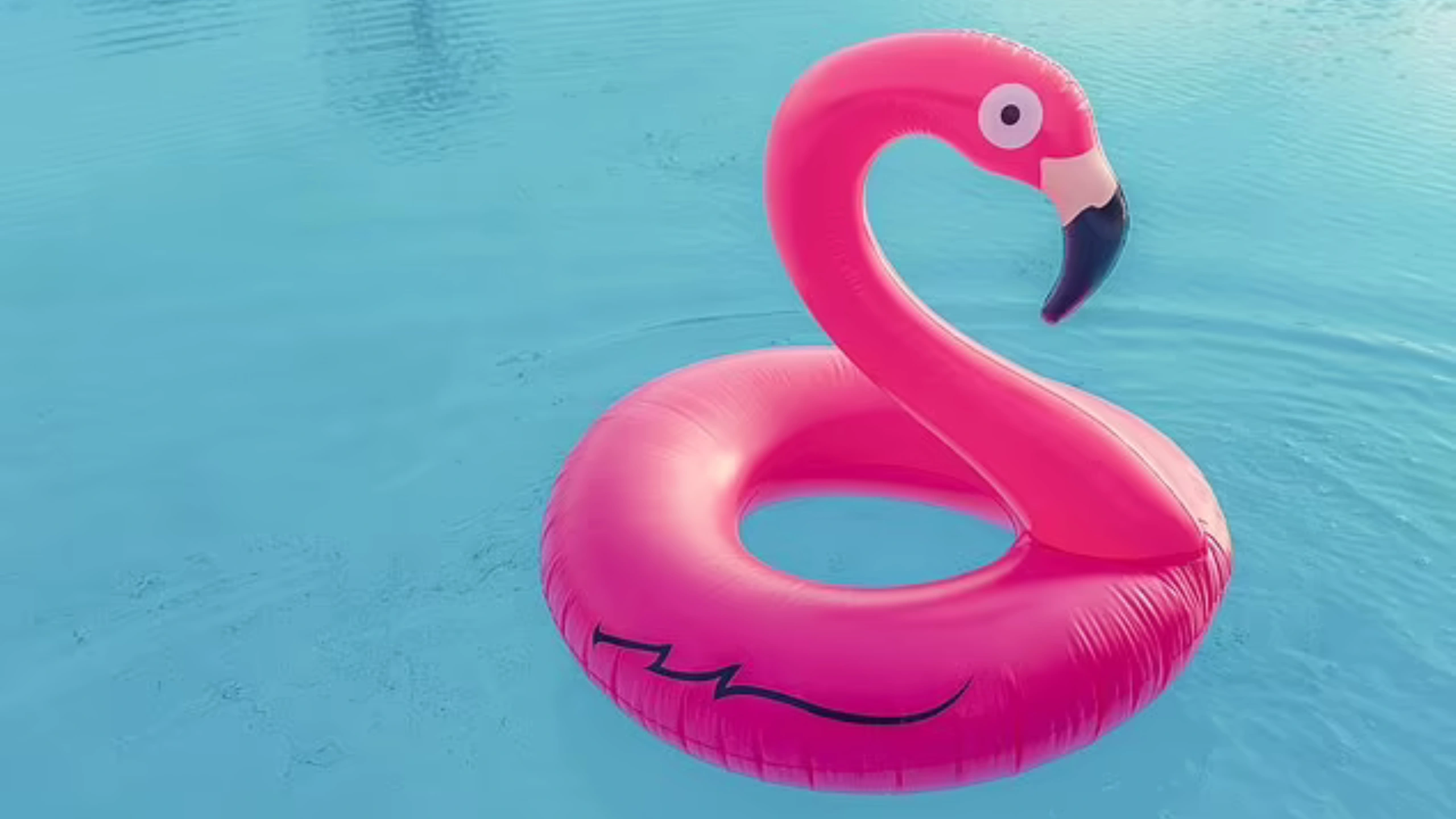 What Do Pink Flamingos On A Cruise Mean?