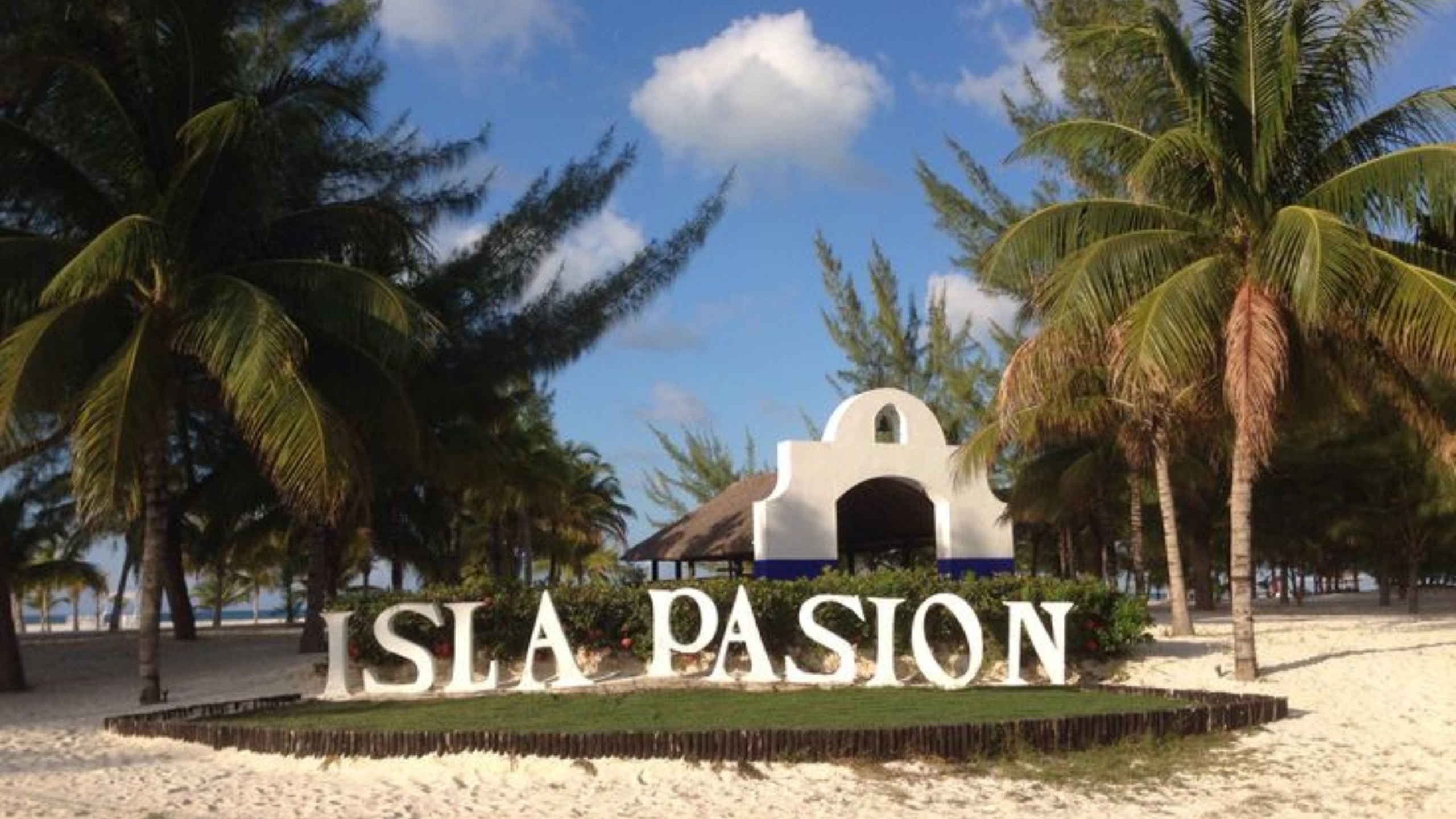 best cozumel beaches near the cruise port