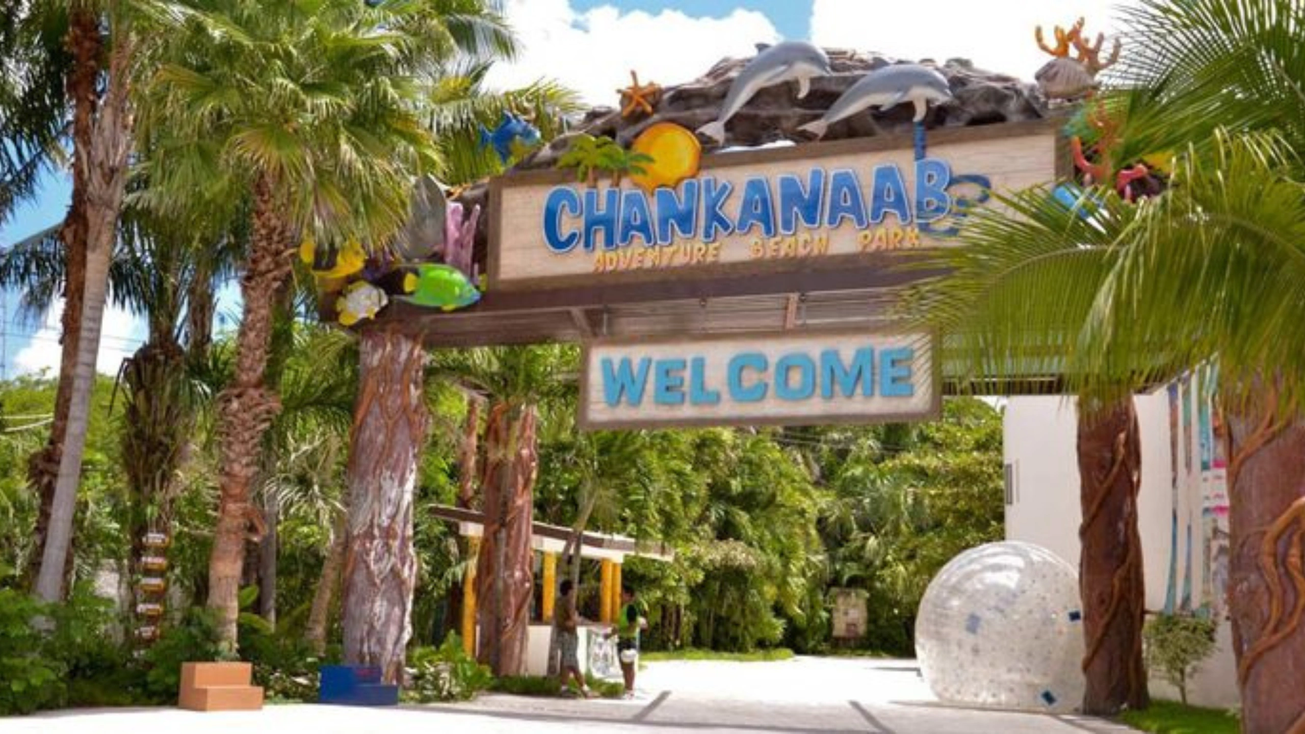 best cozumel beaches near the cruise port