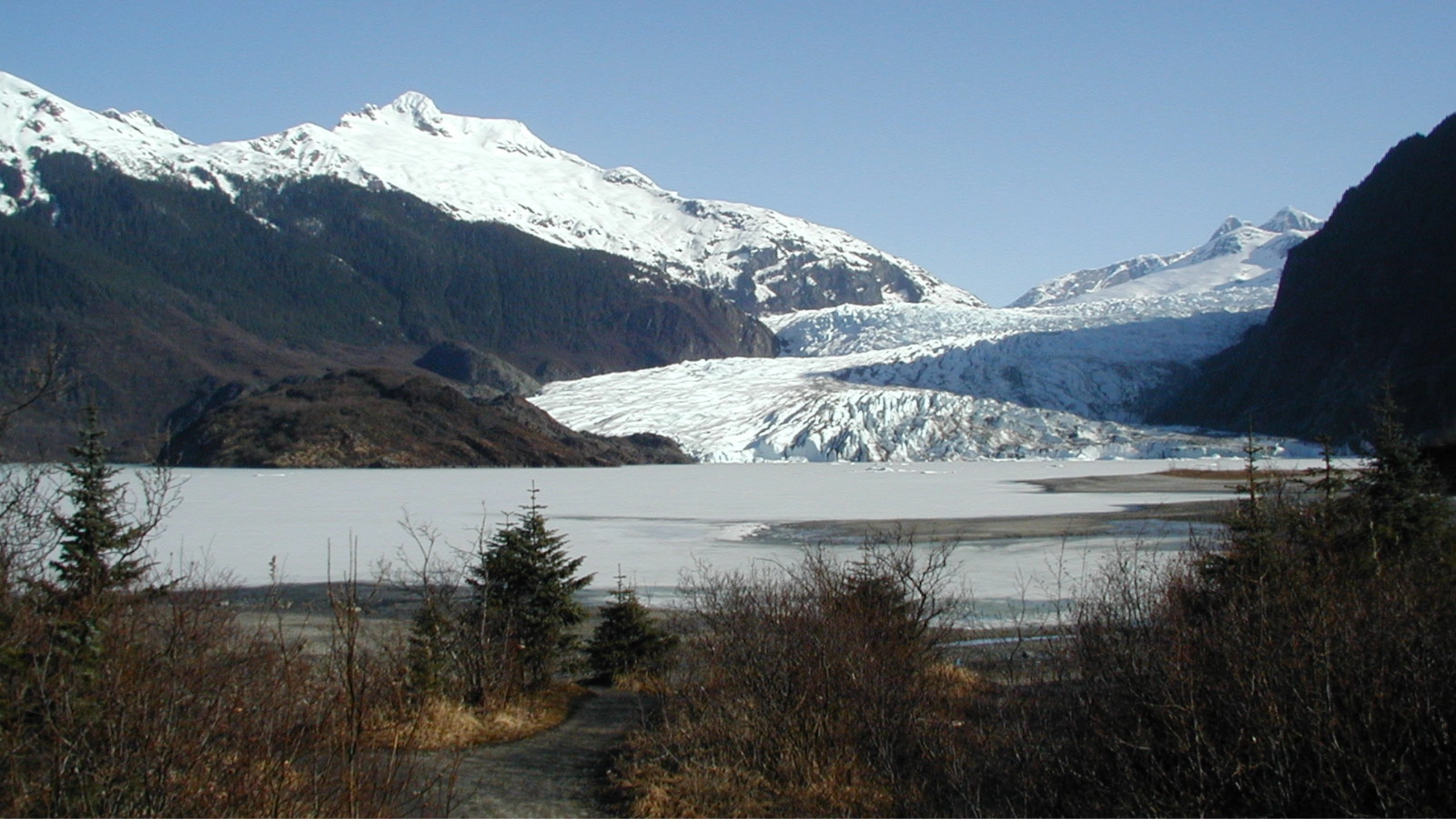 best things to do in juneau alaska cruise port