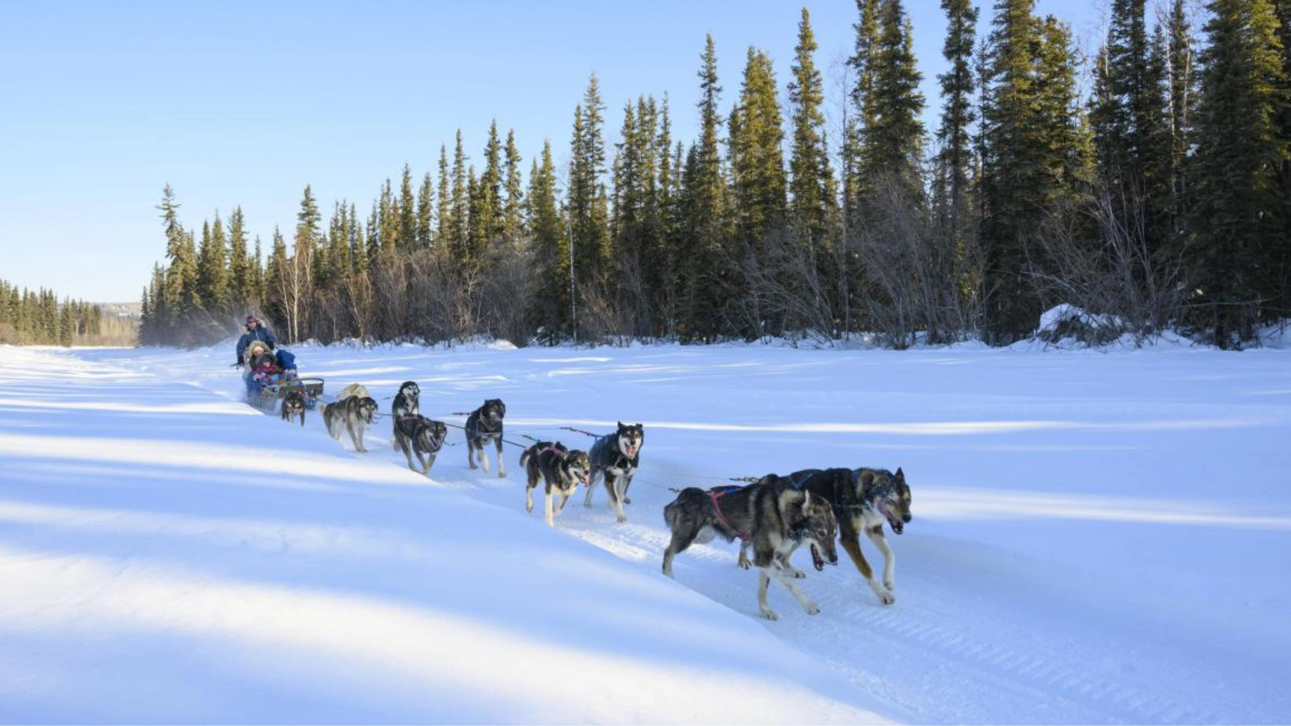 best things to do in juneau alaska cruise port