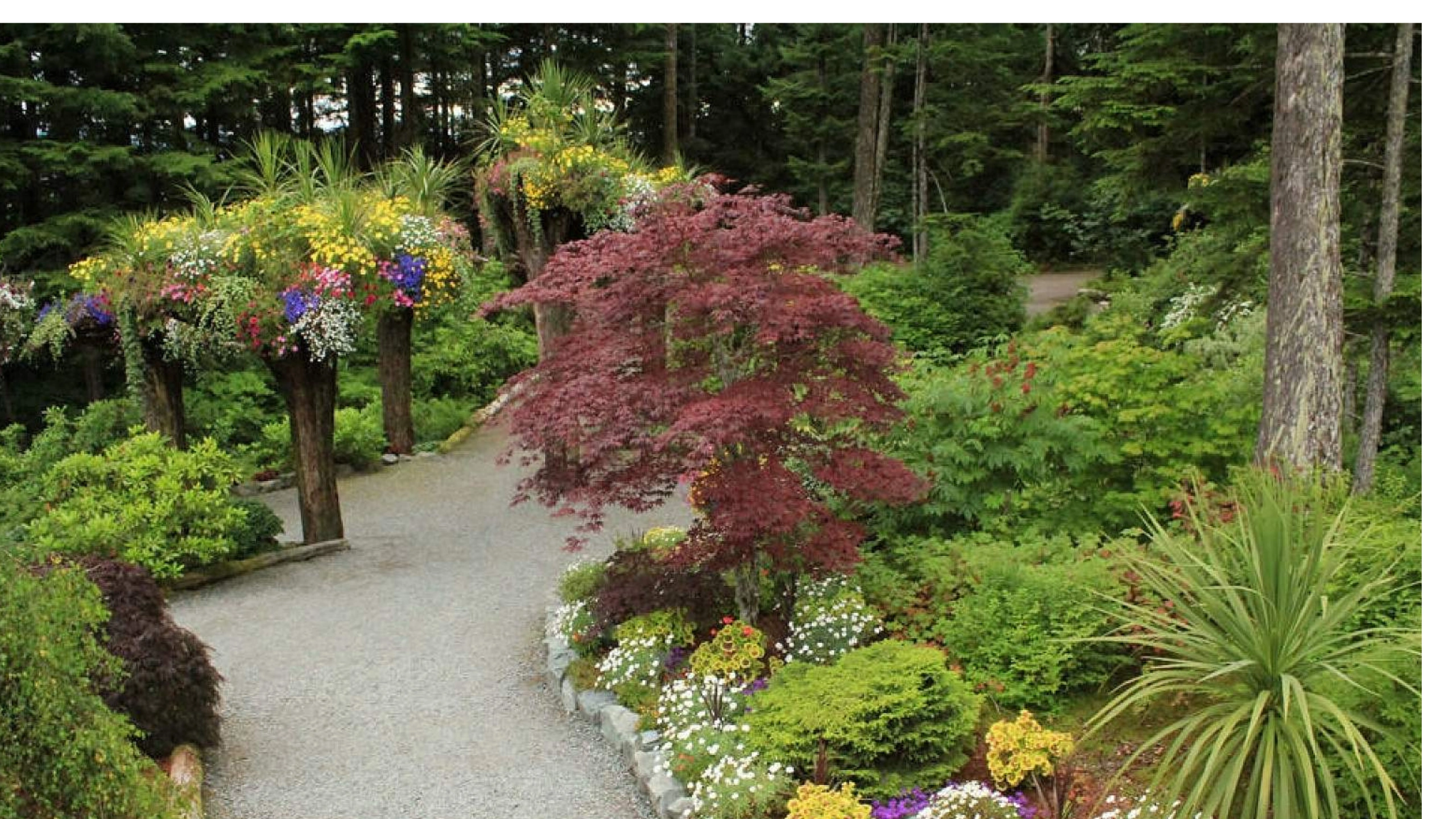 best things to do in juneau alaska cruise port