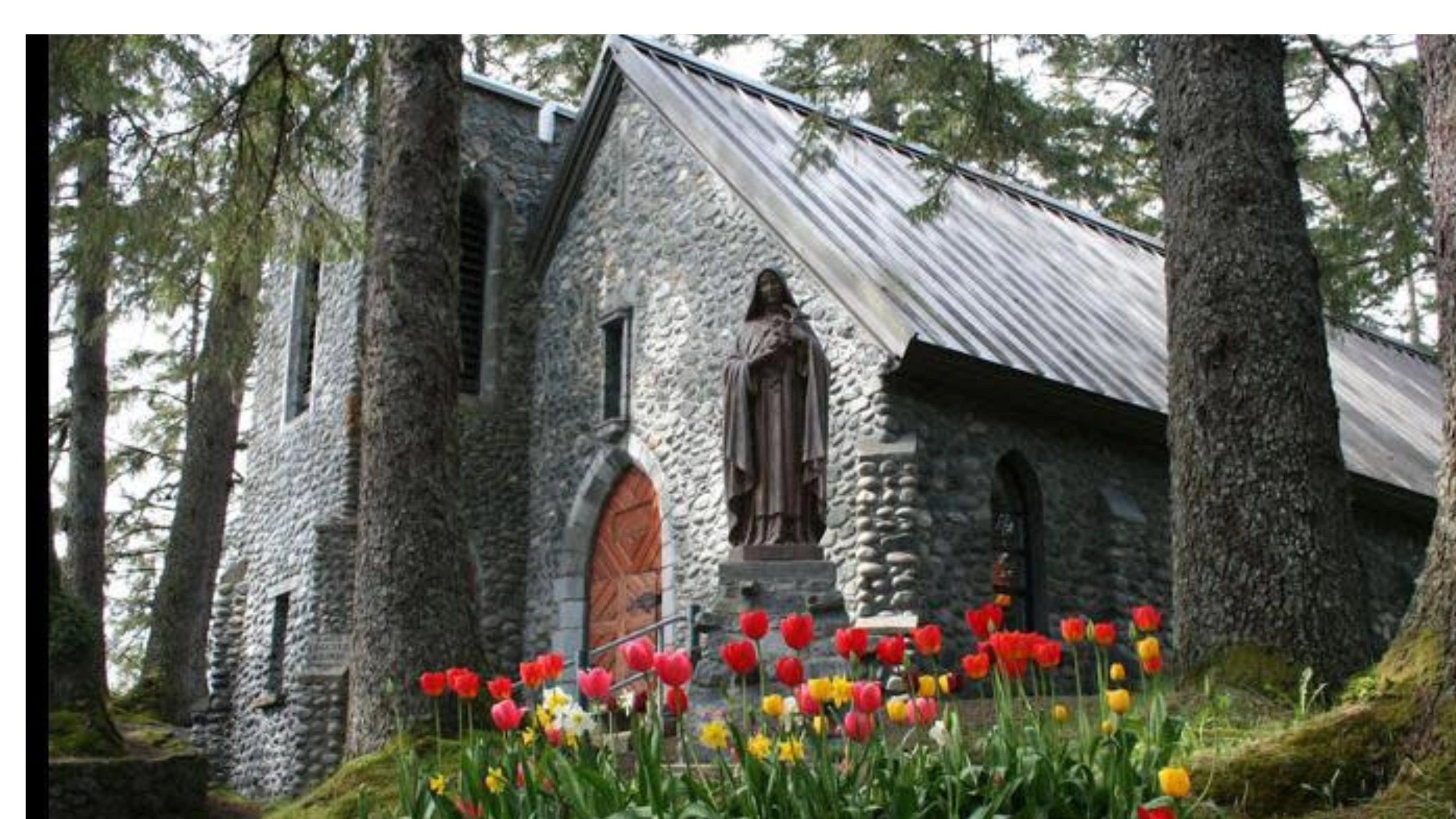 best things to do in juneau alaska cruise port