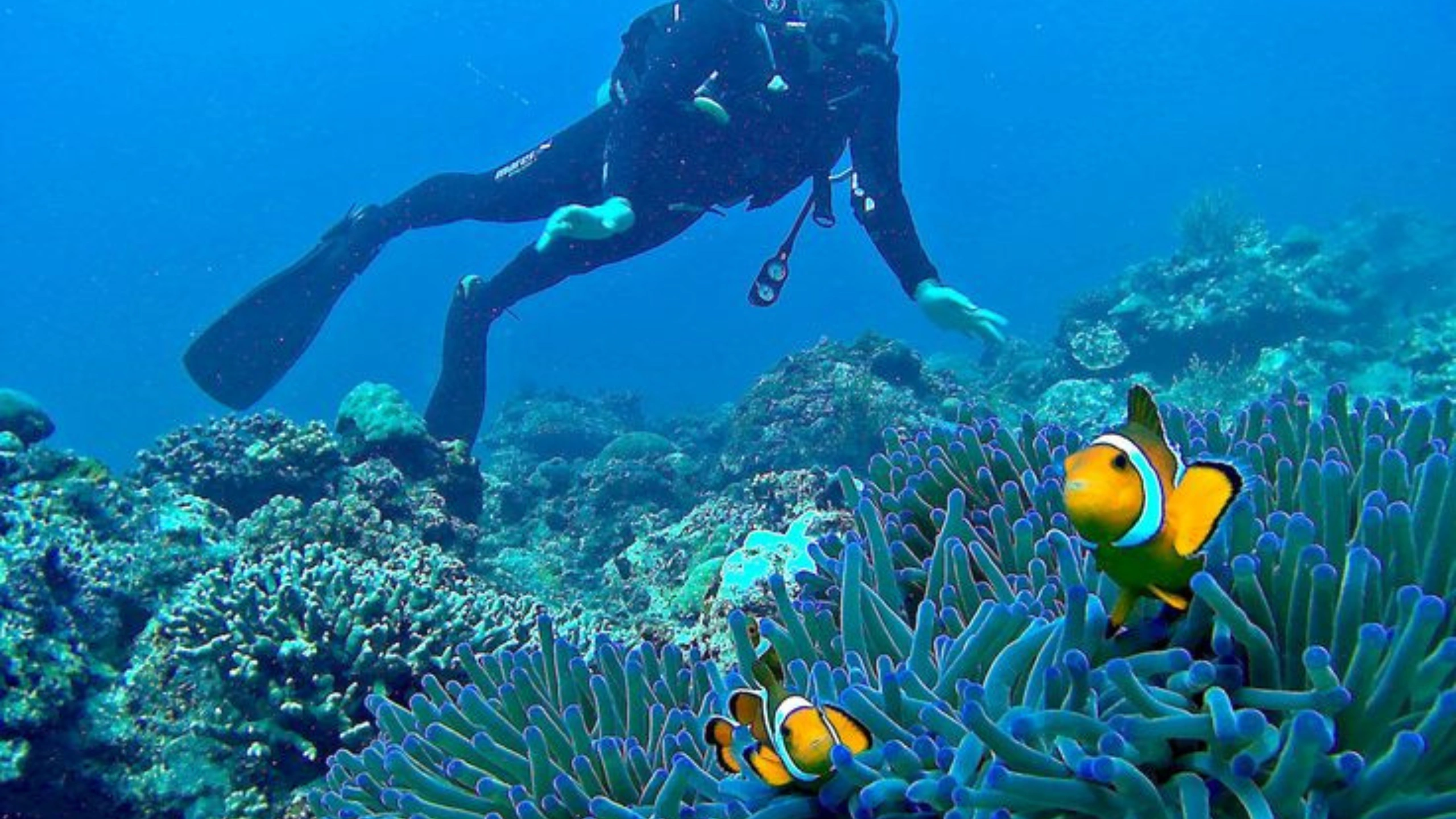 best things to do in st martin