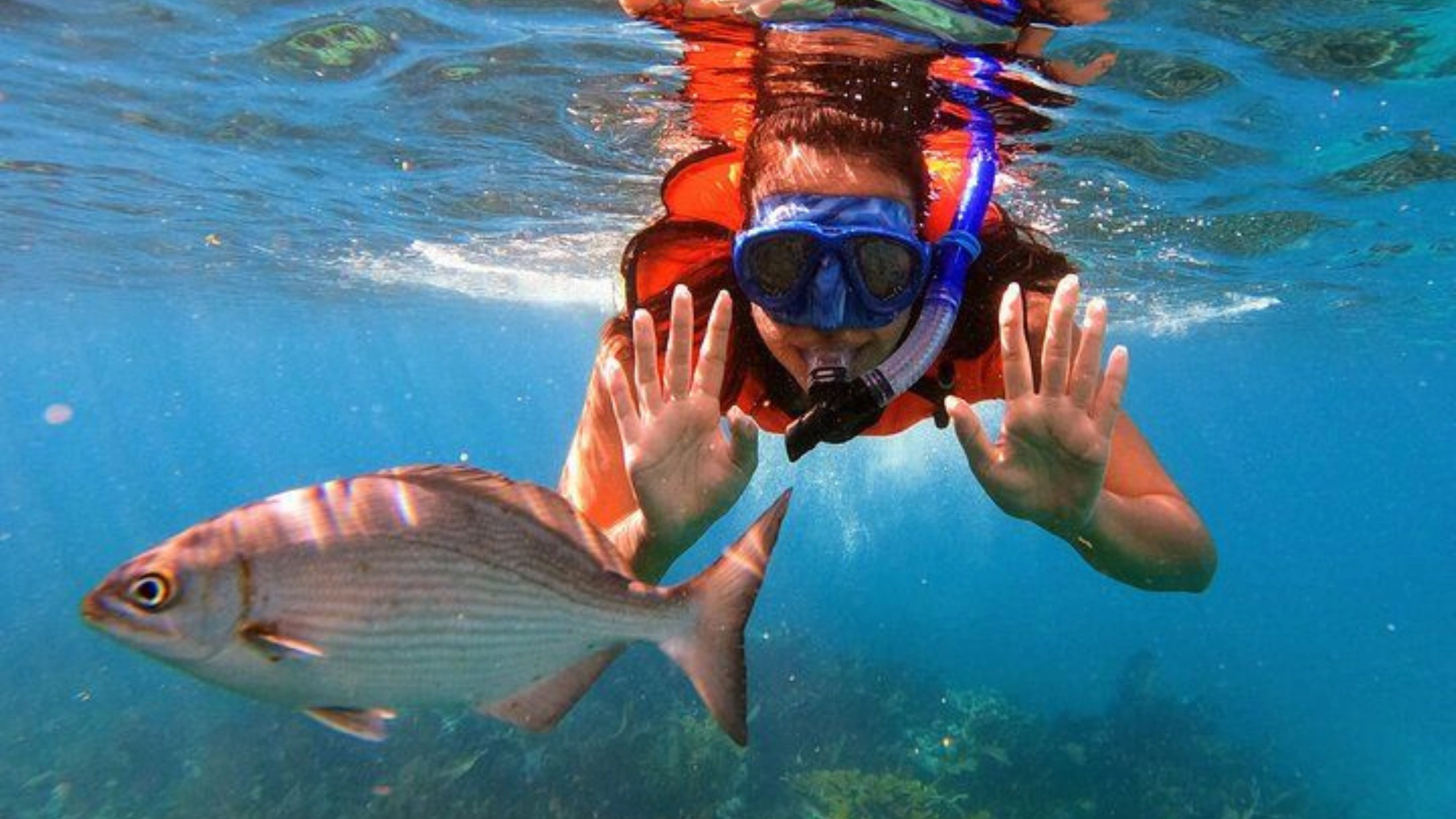 best things to do in st martin