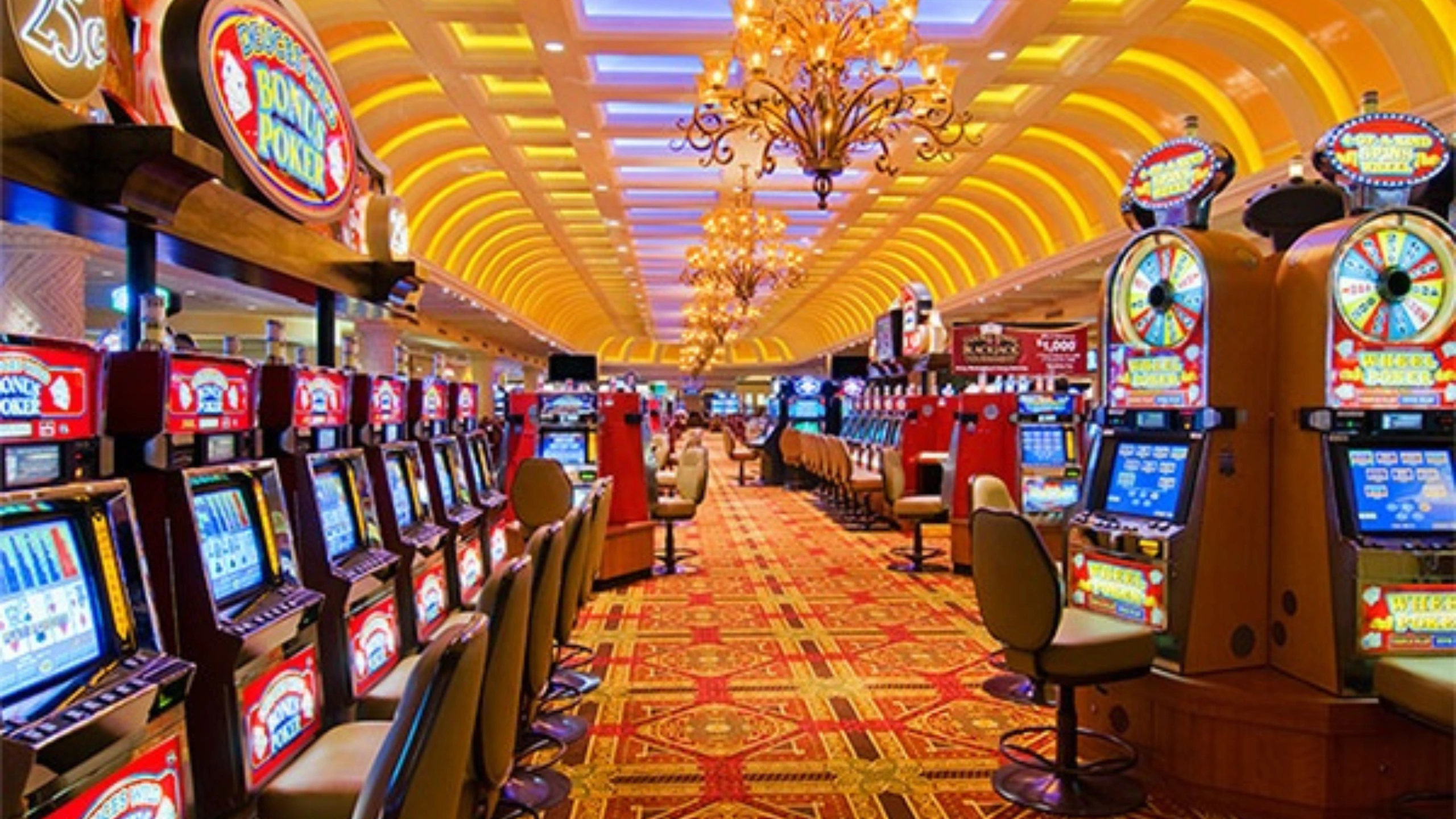 carnival conquest cruise ship