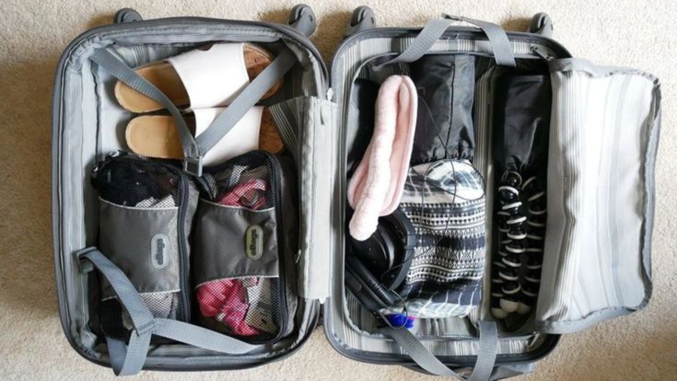 carnival cruise luggage restrictions