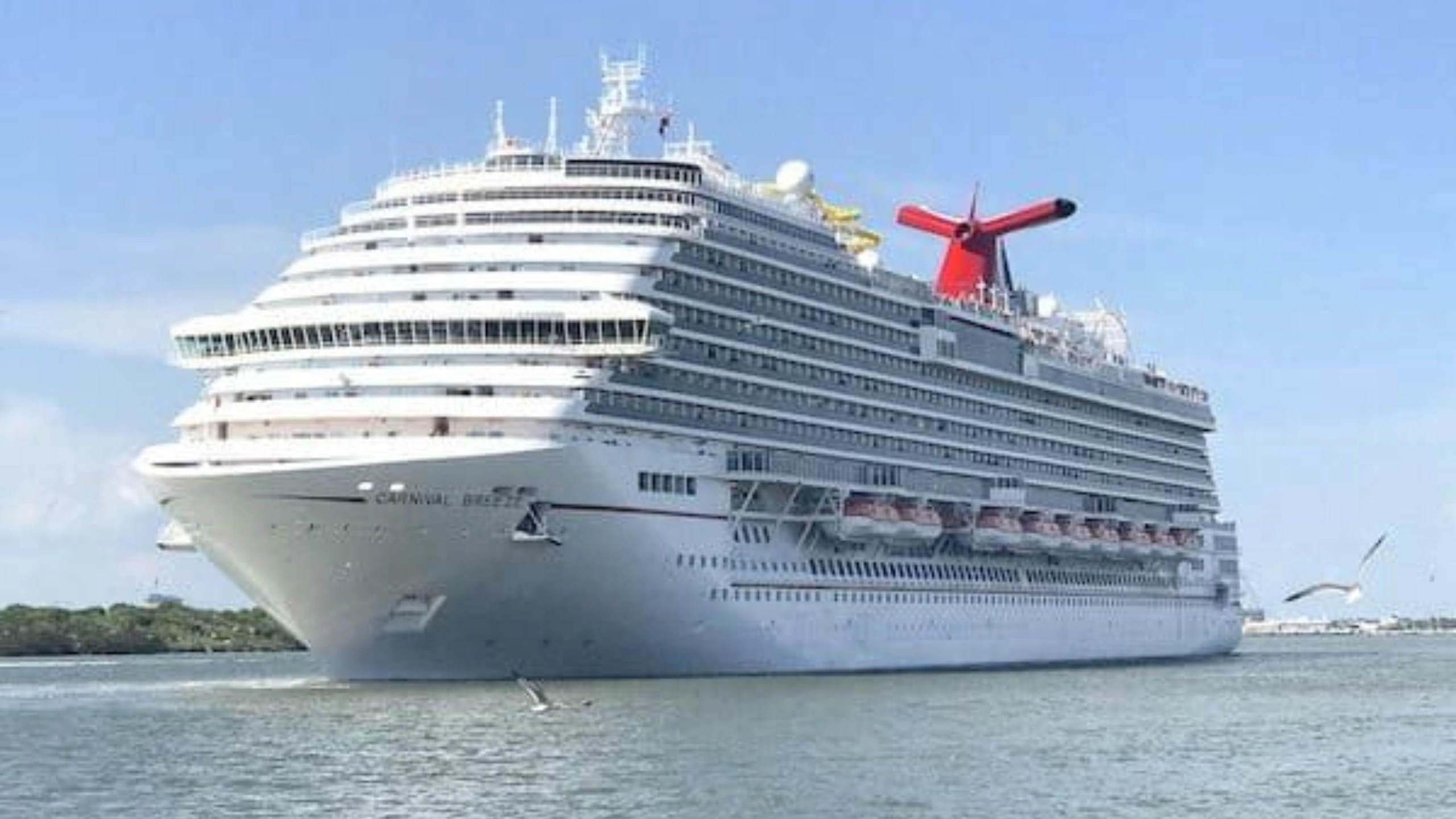 carnival cruise ships by size