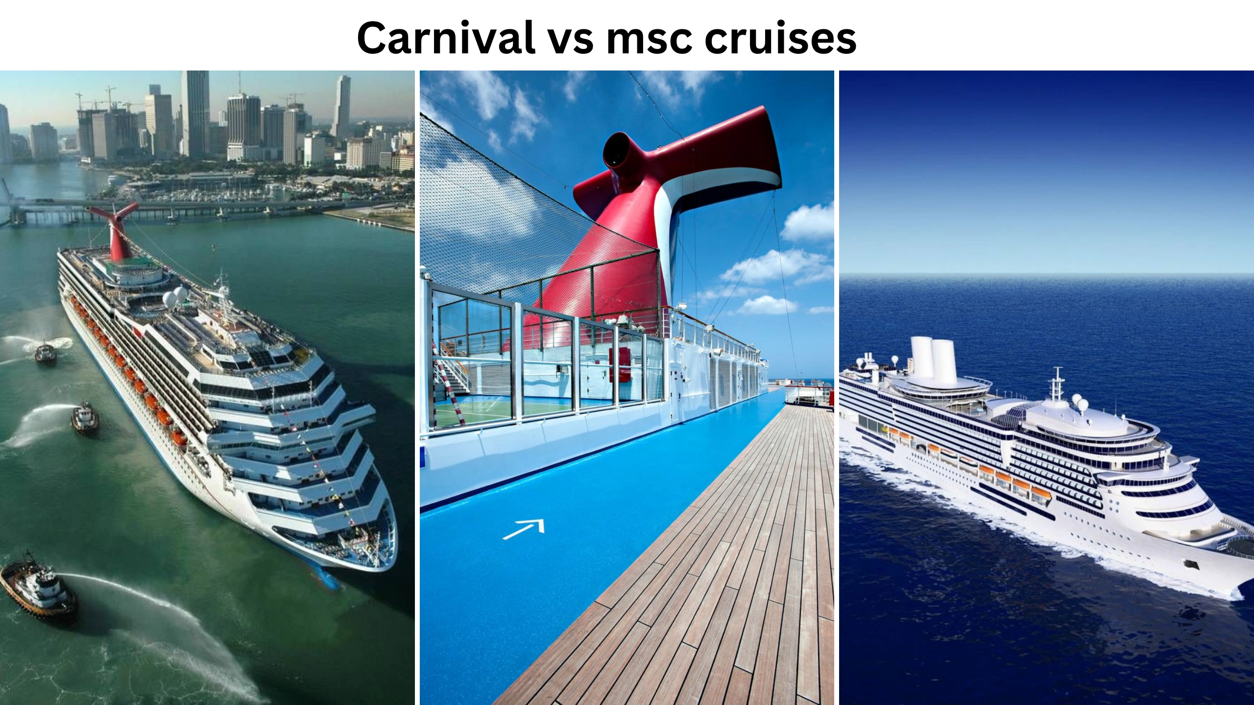 carnival vs msc cruises