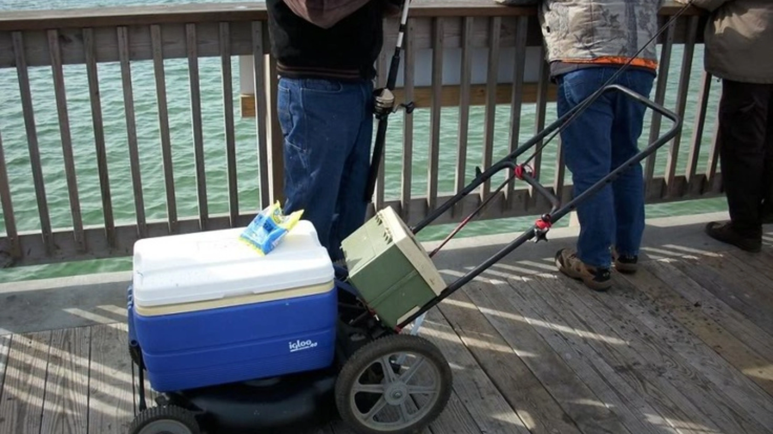 costa maya cruise port