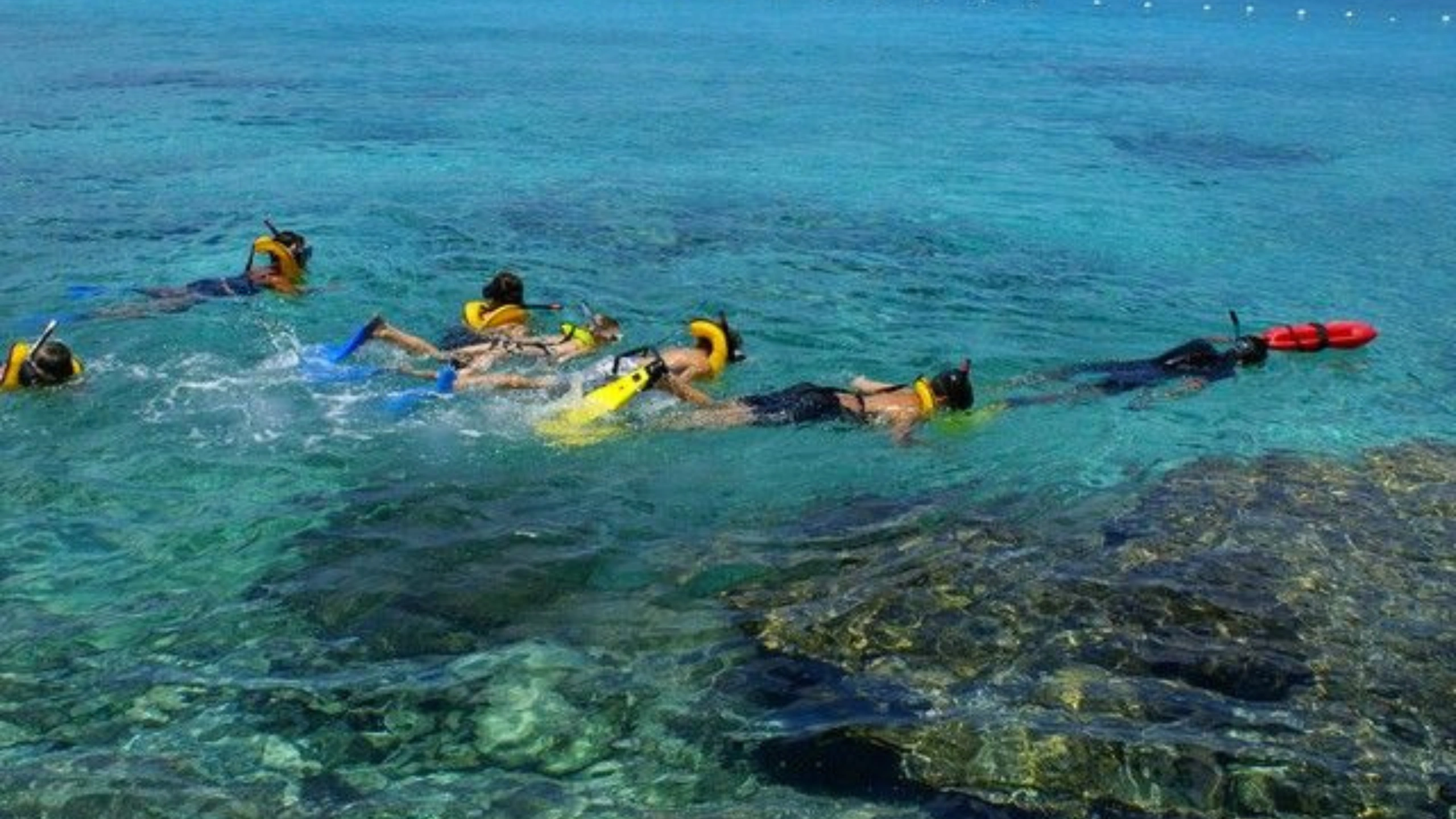 cozumel mexico cruise port