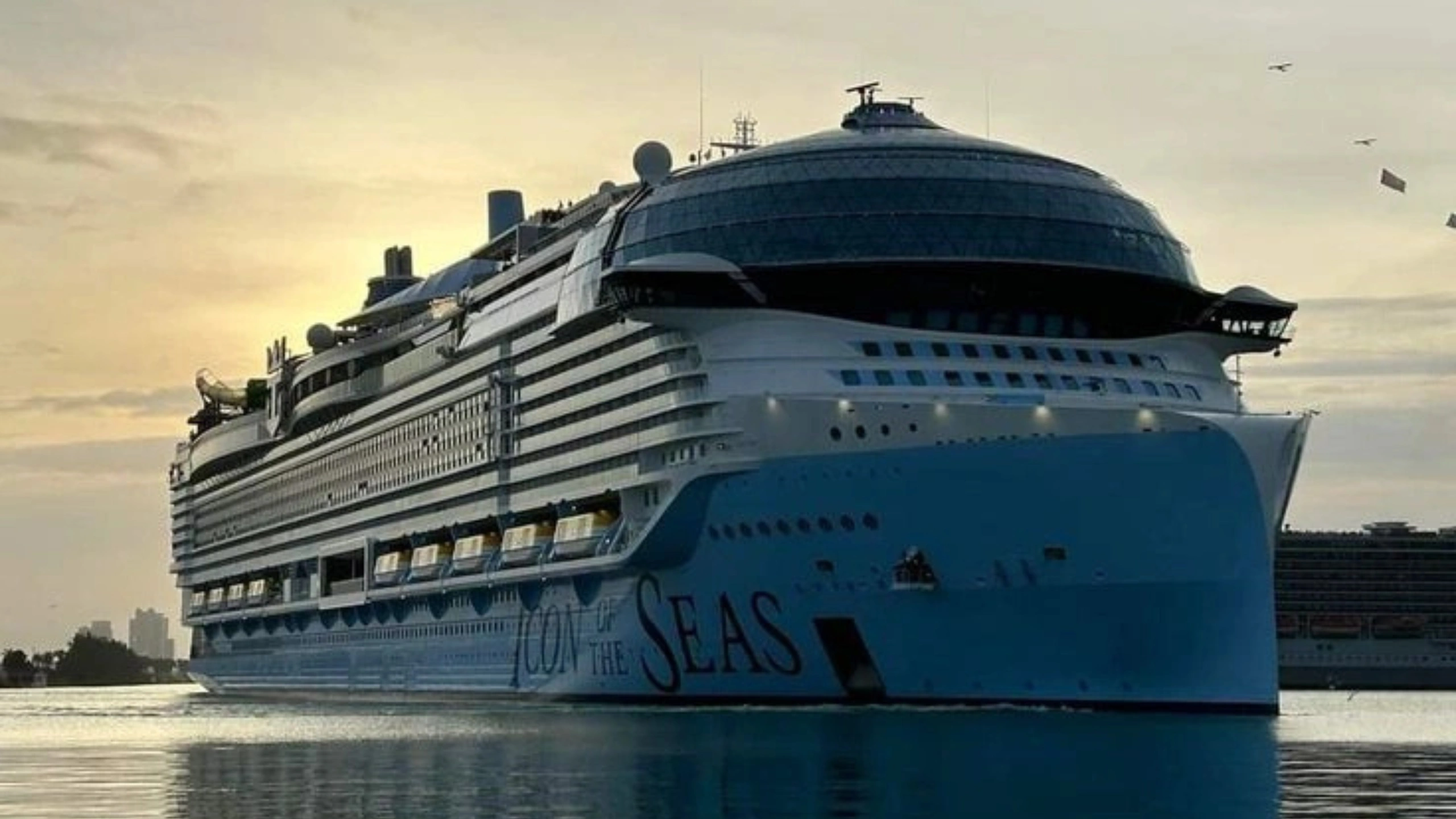icon of the seas size