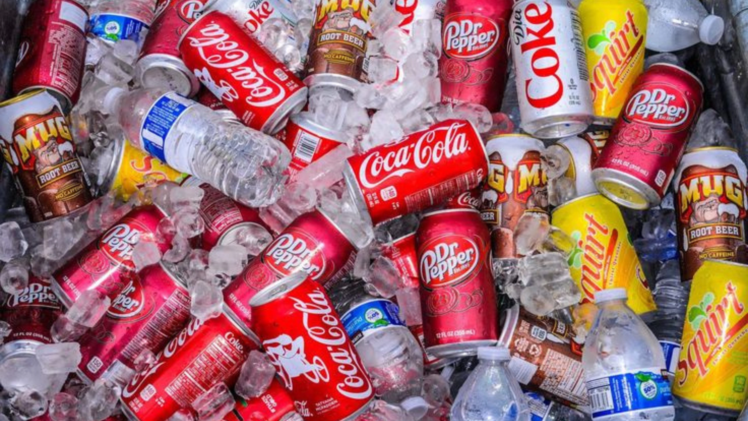 Carnival Cruise Luggage Restrictions Explained: Essential Info for Travelers