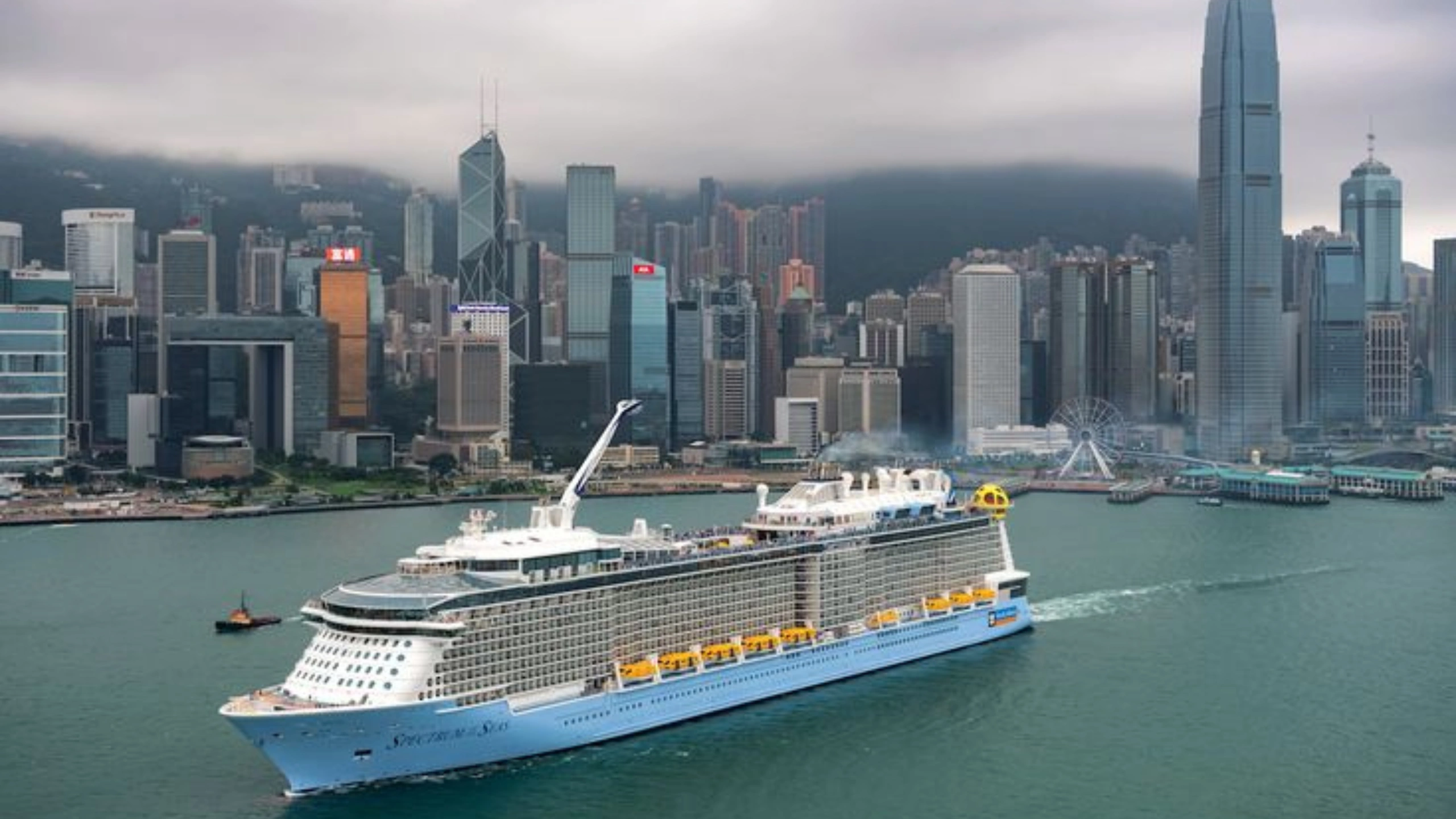 royal caribbean ships by size