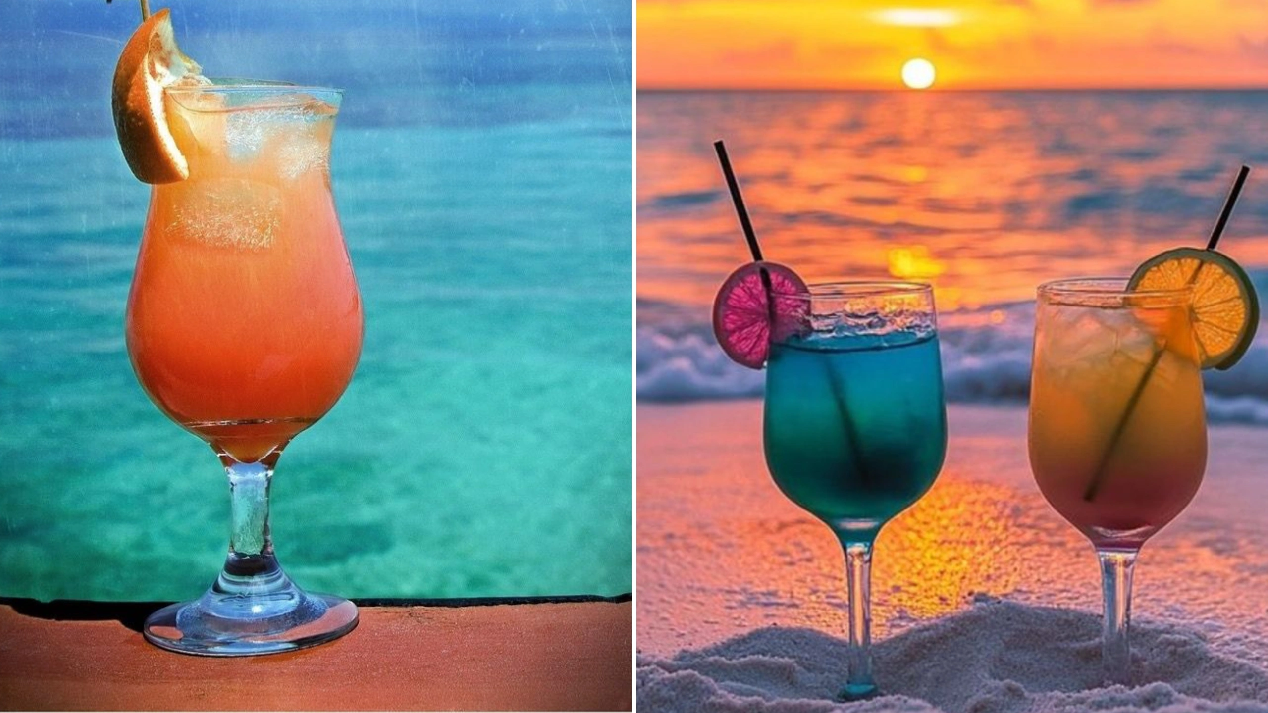 royal caribbean vs carnival cruise line