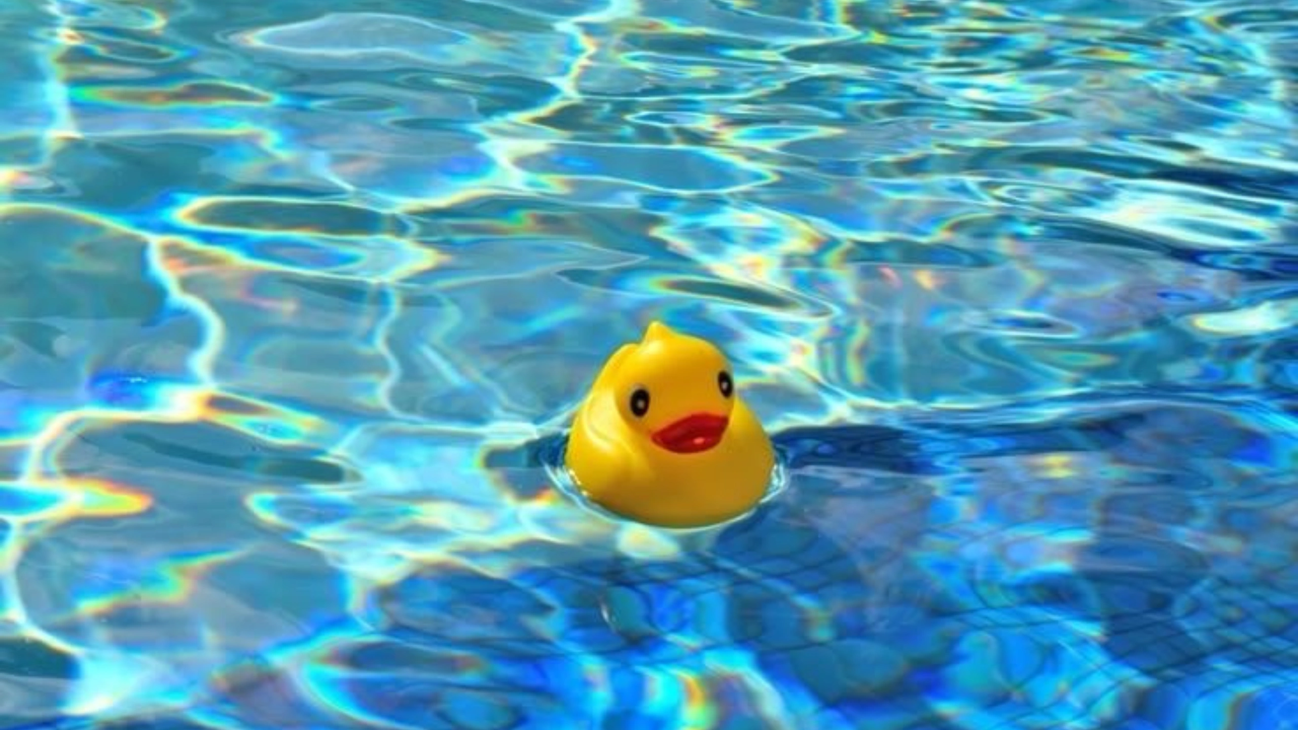 what pack for a cruise essentials