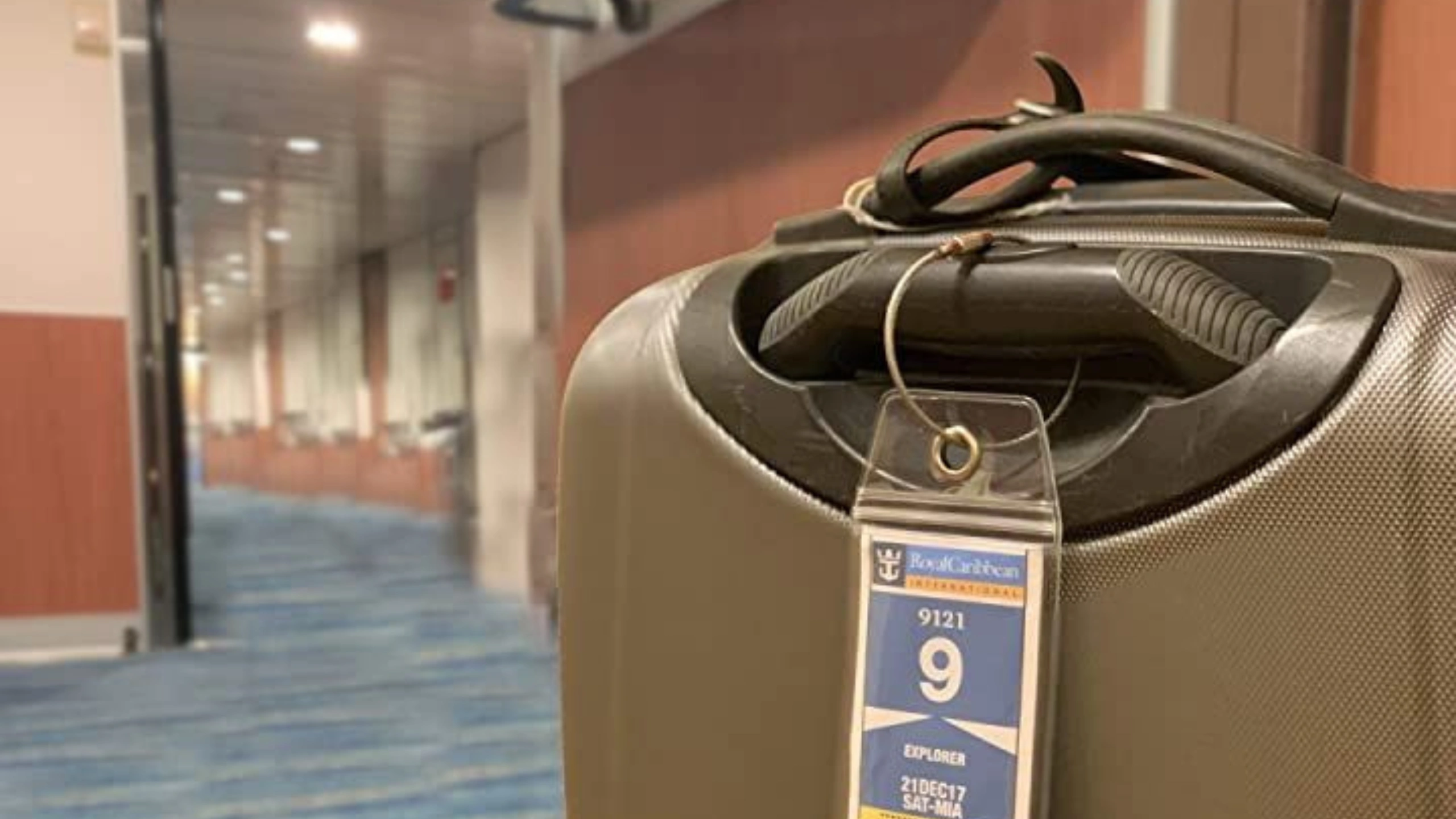 what pack for a cruise essentials