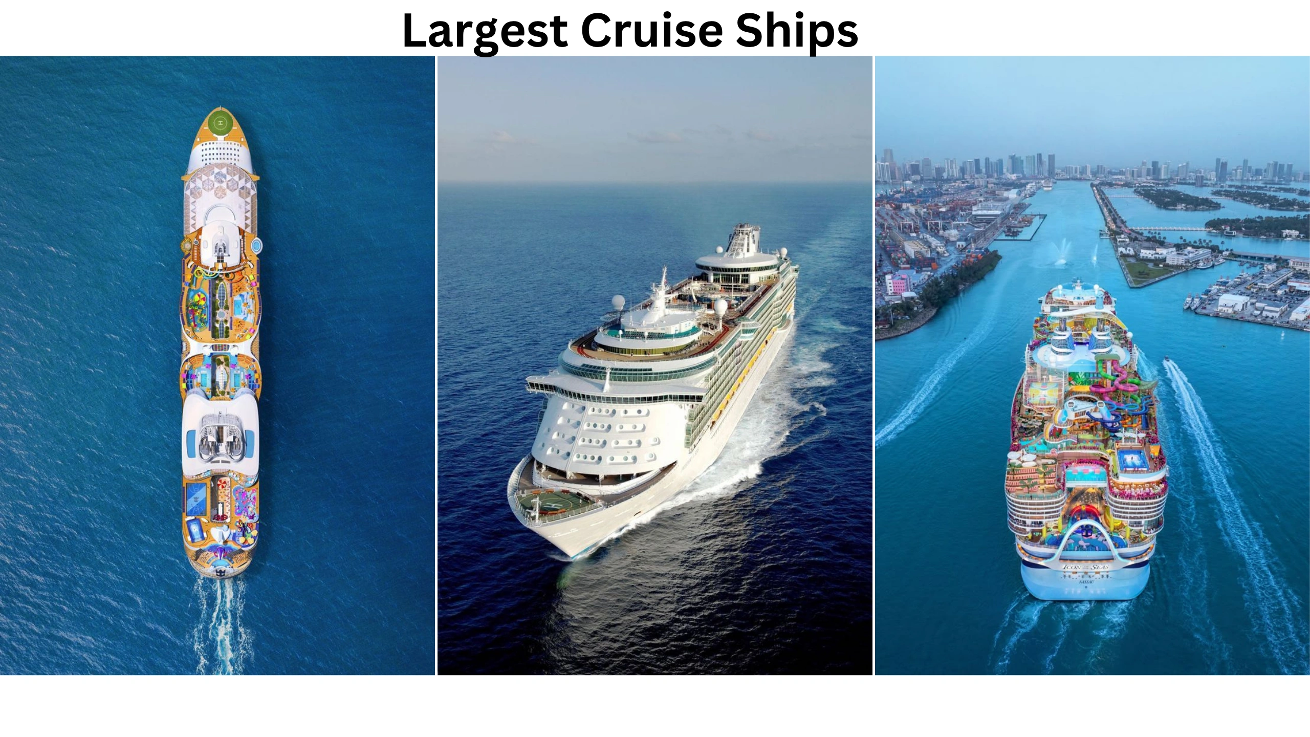 Largest Cruise Ships
