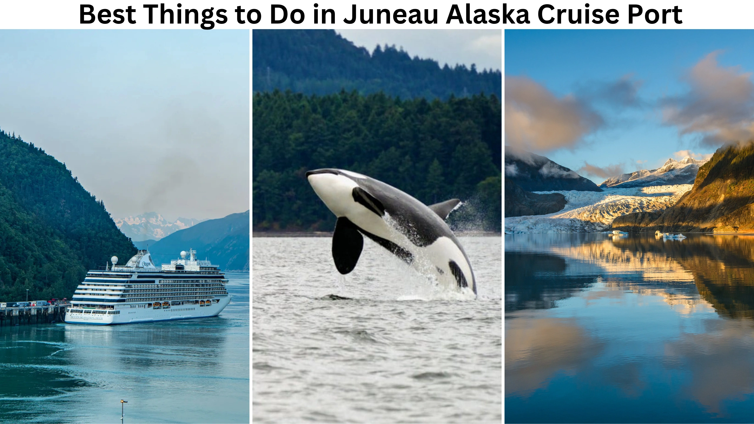 Best Things to Do in Juneau Alaska Cruise Port