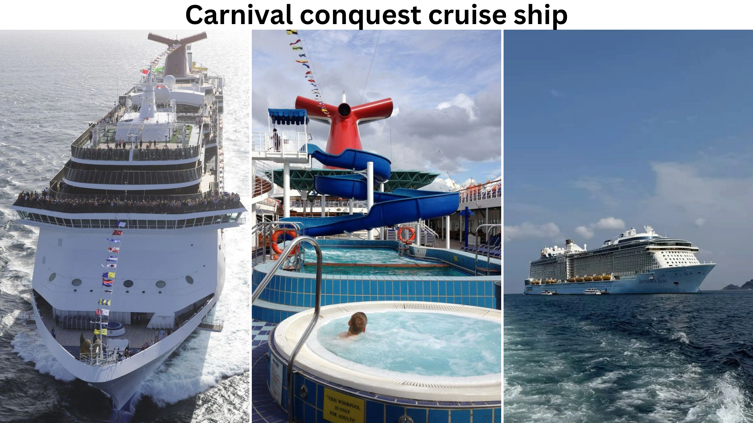 carnival conquest cruise ship