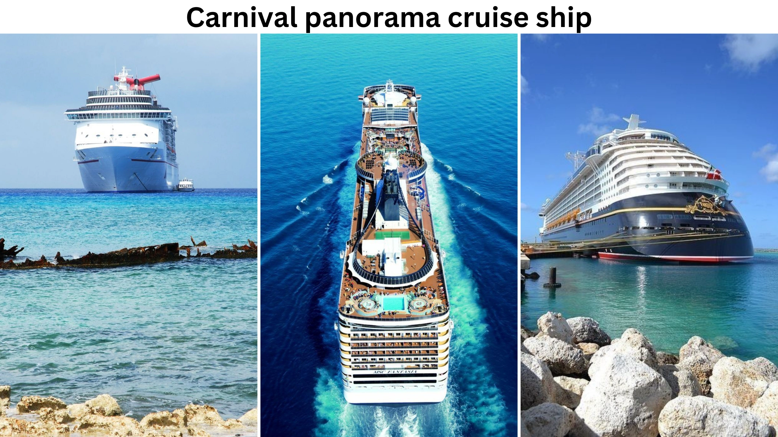 carnival panorama cruise ship