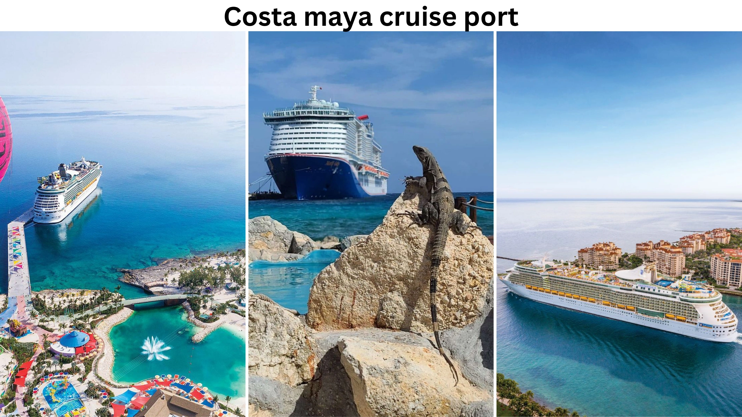 costa maya cruise port