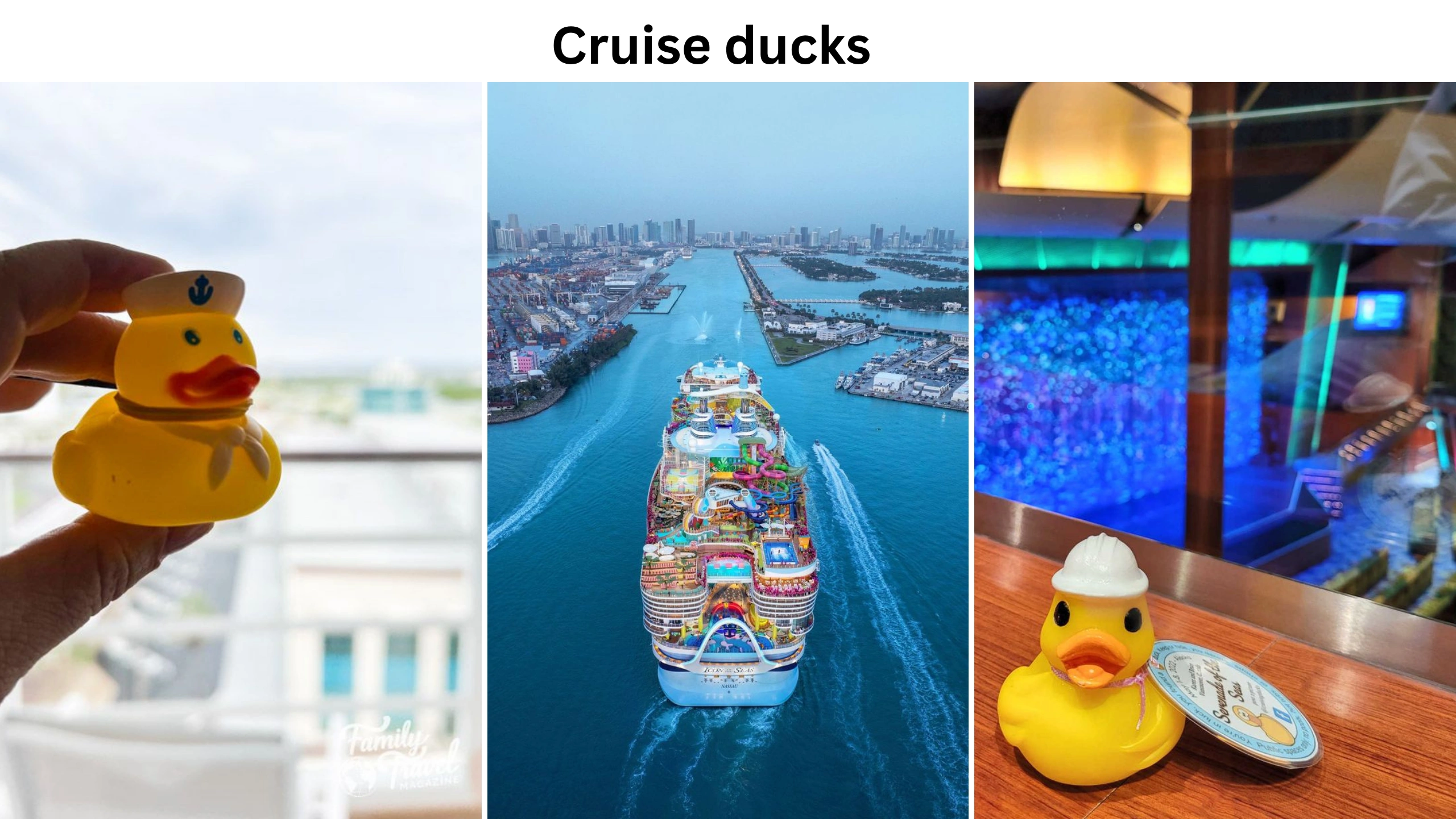 cruise ducks